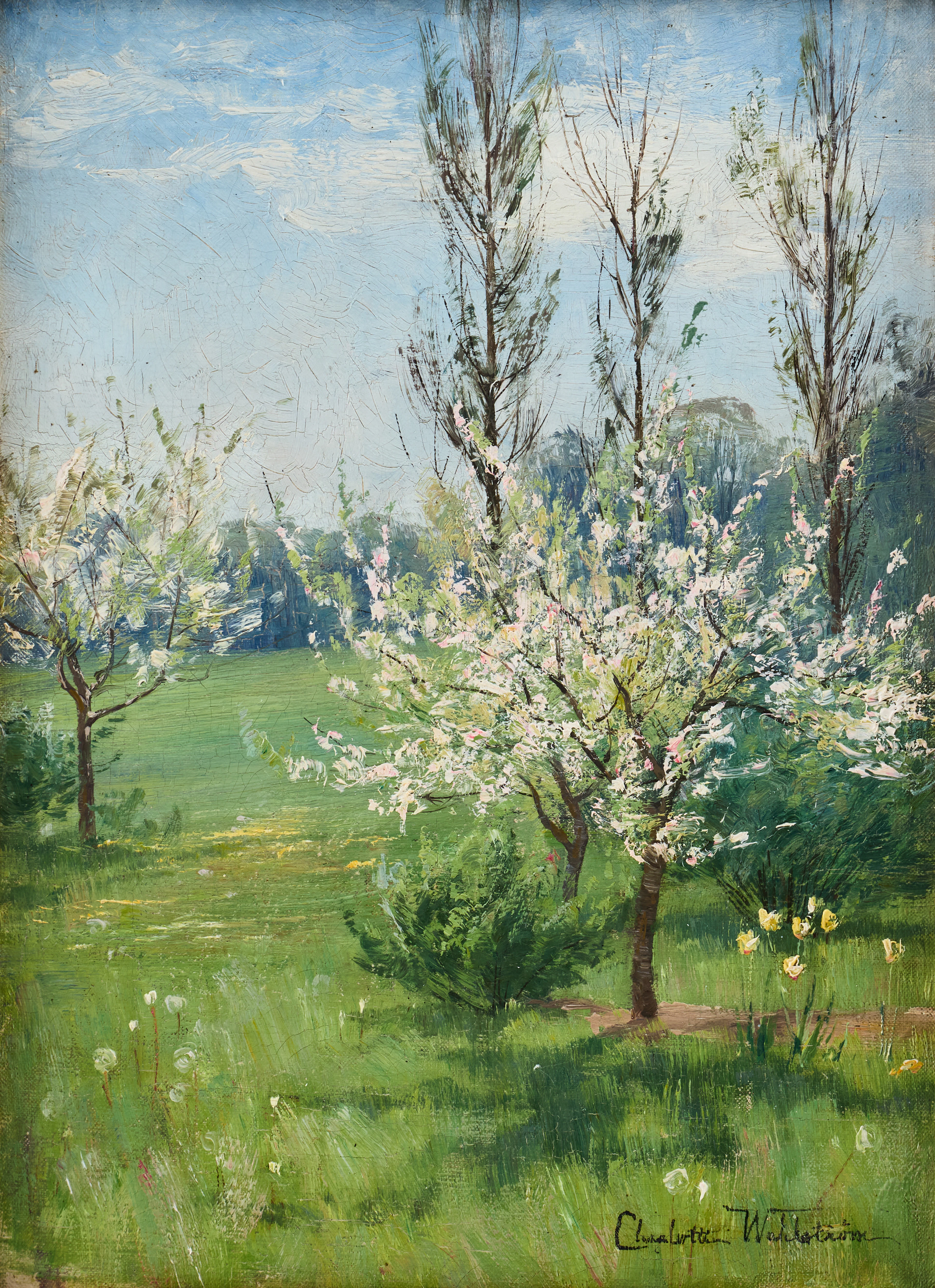 CHARLOTTE WAHLSTRÖM. Blommande fruktträd.