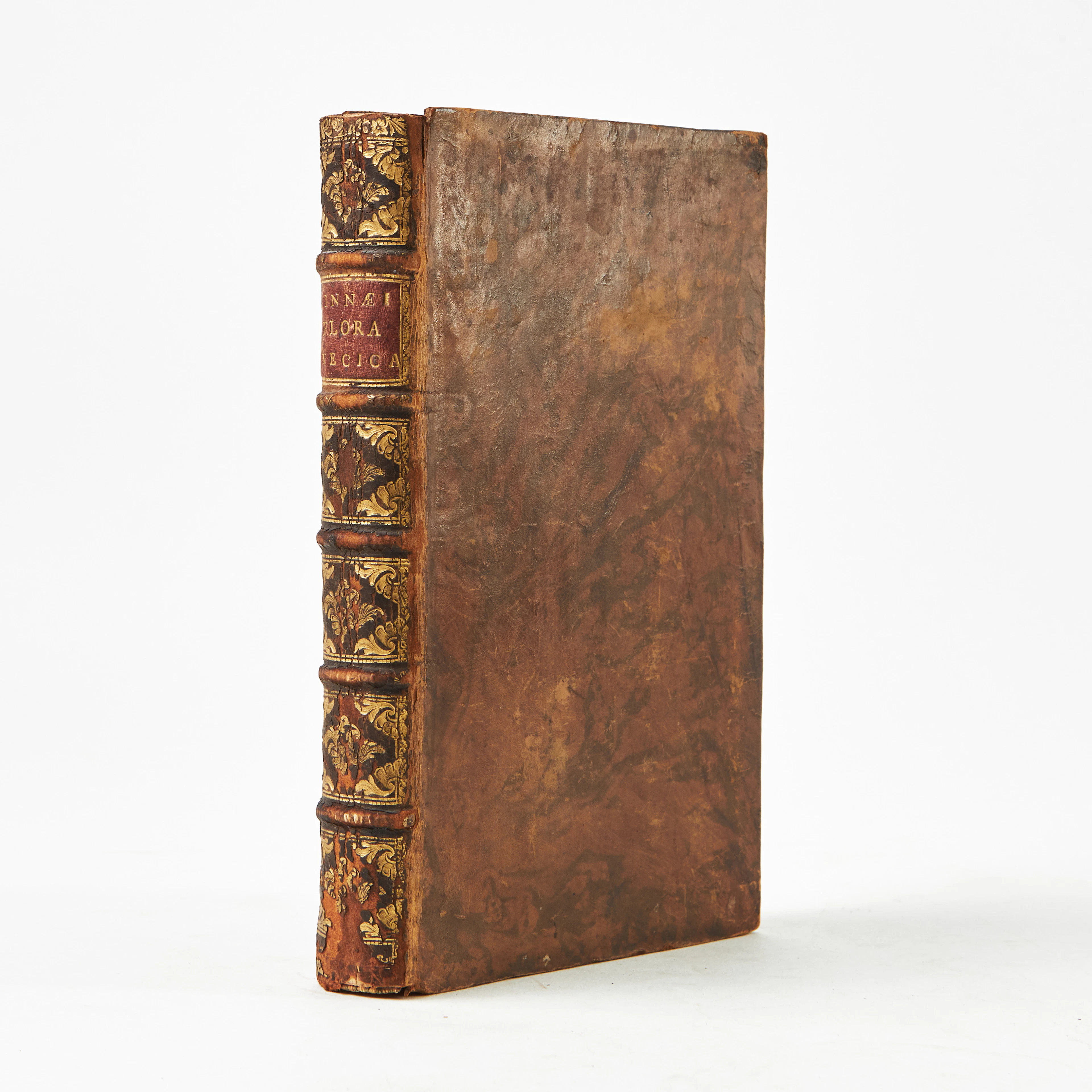 LINNAEUS, FLORA SVECICA, SECOND EDITION, 1755, lacking plate.