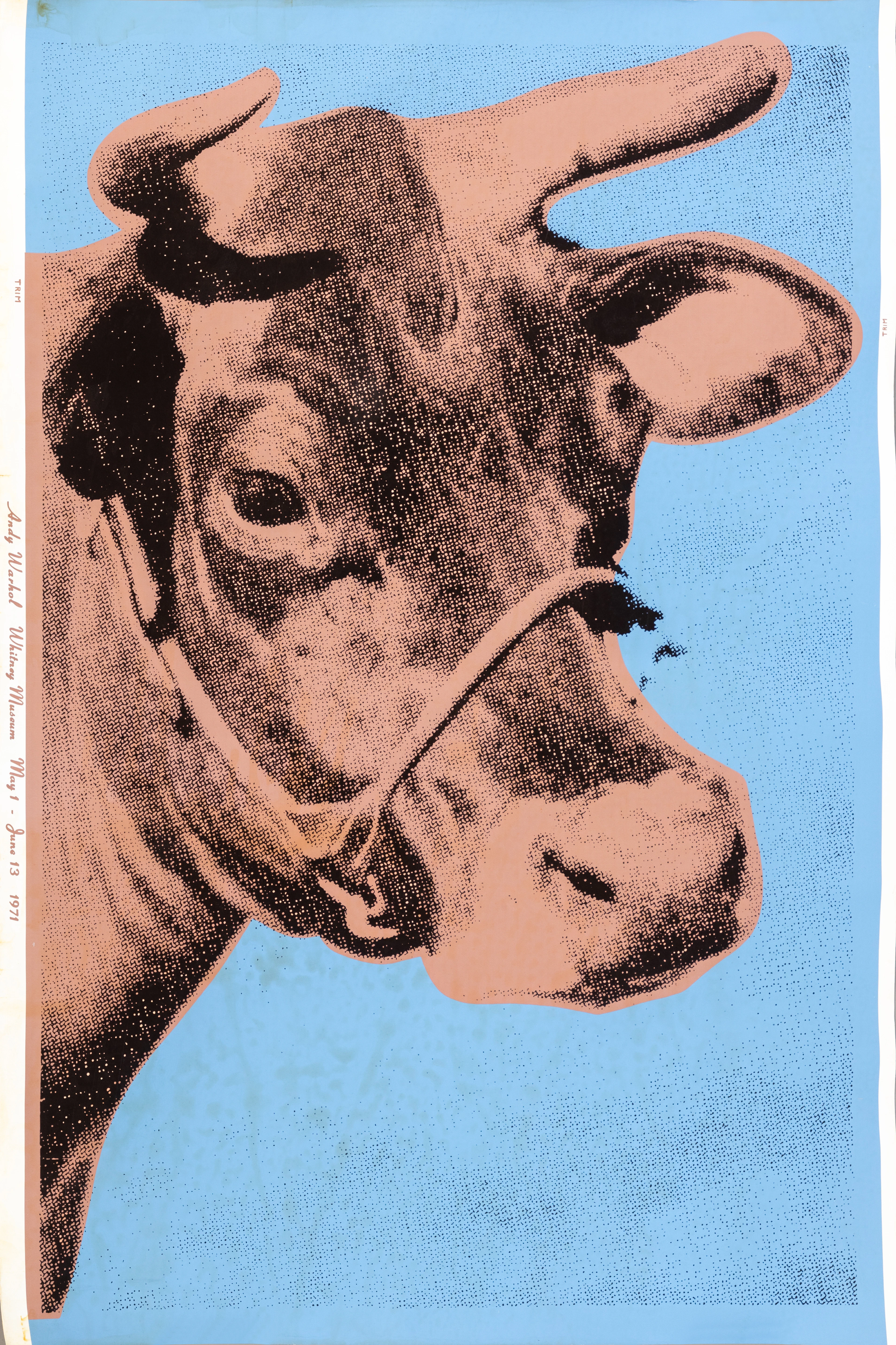 ANDY WARHOL (1928-1987), NACH. Cow, blue, Plakat für das Whitney Museum.