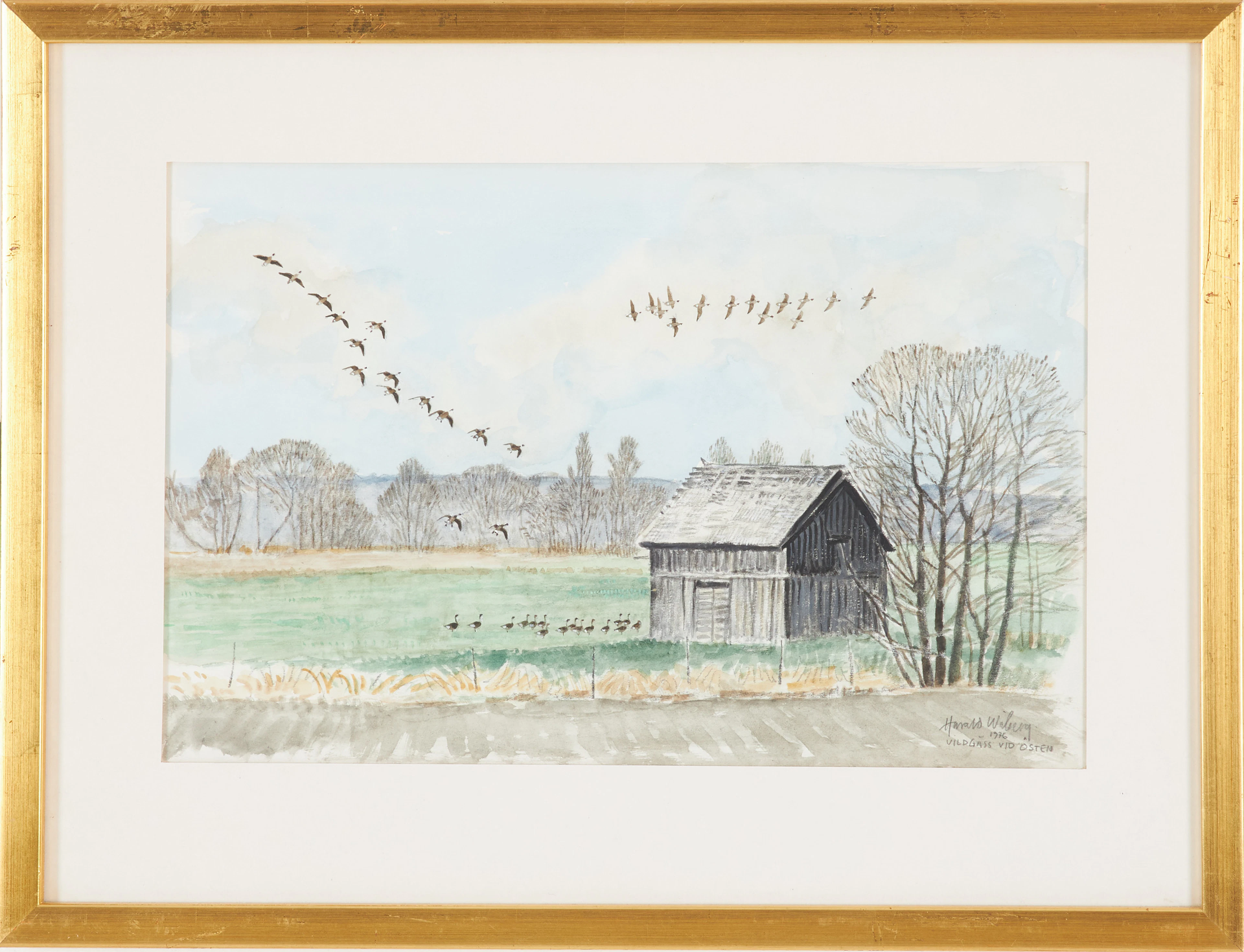 HARALD WIBERG. "Vildgäss vid Östen", akvarell, signerad och daterad 1976.