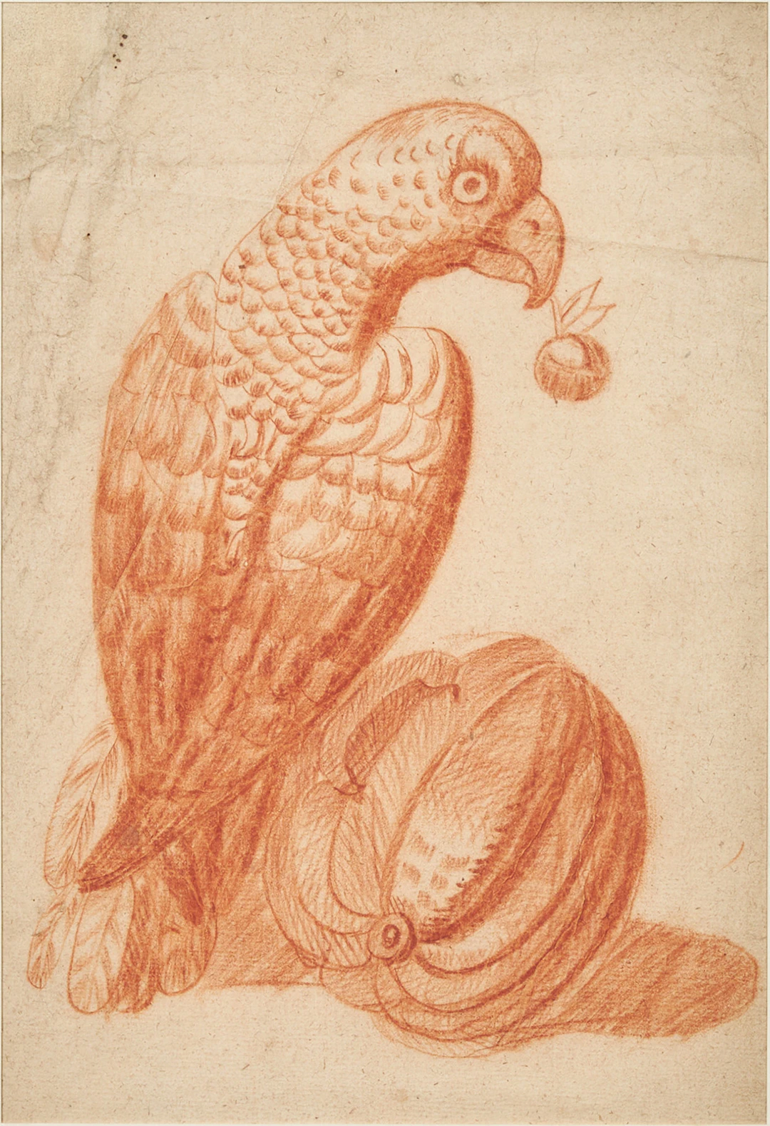 OIDENTIFIERAD KONSTNÄR. Fågel, rödkrita på papper, 1700-tal.