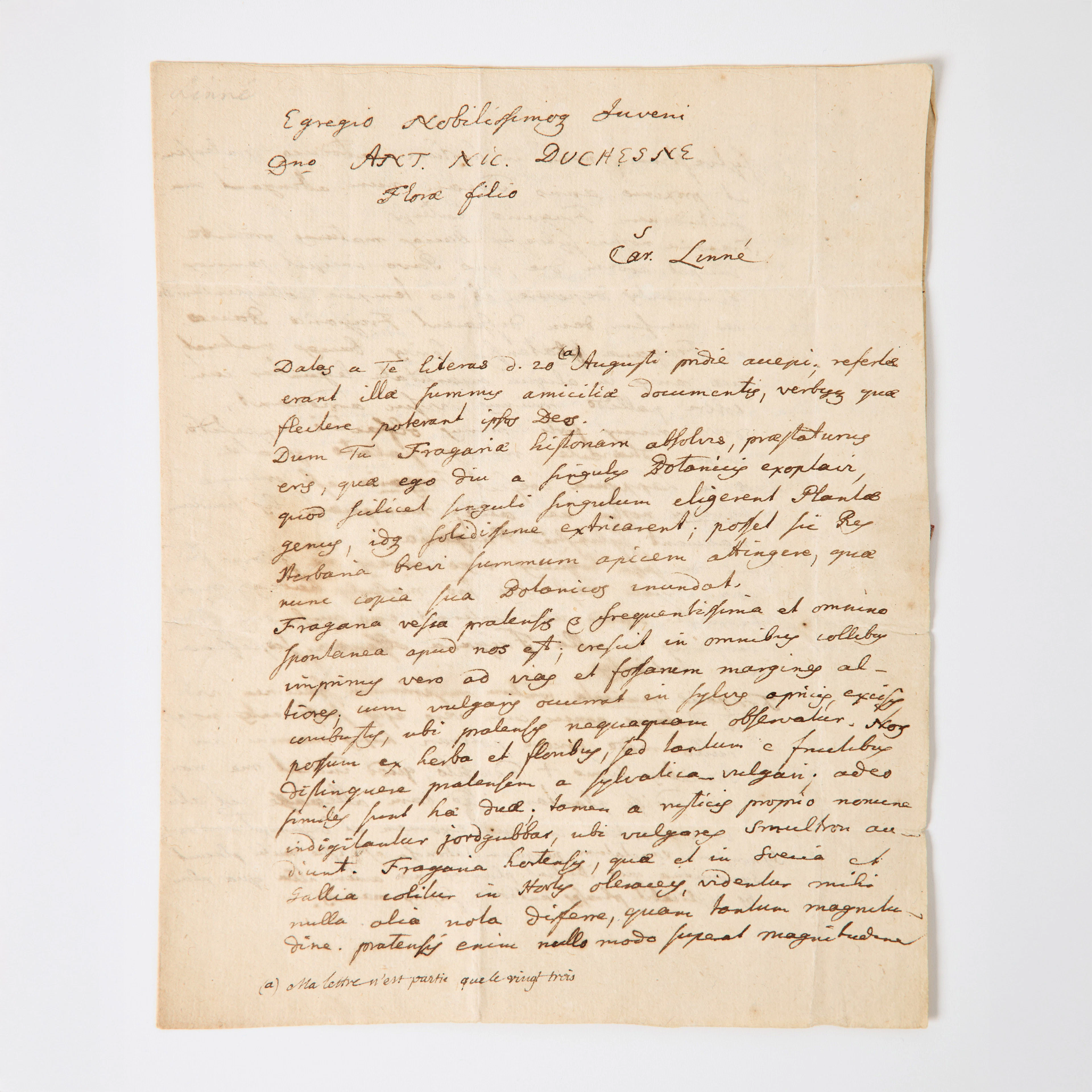 LINNAEUS'S AUTOGRAPH LETTER TO DUCHESNE, 1765, on wild strawberries.