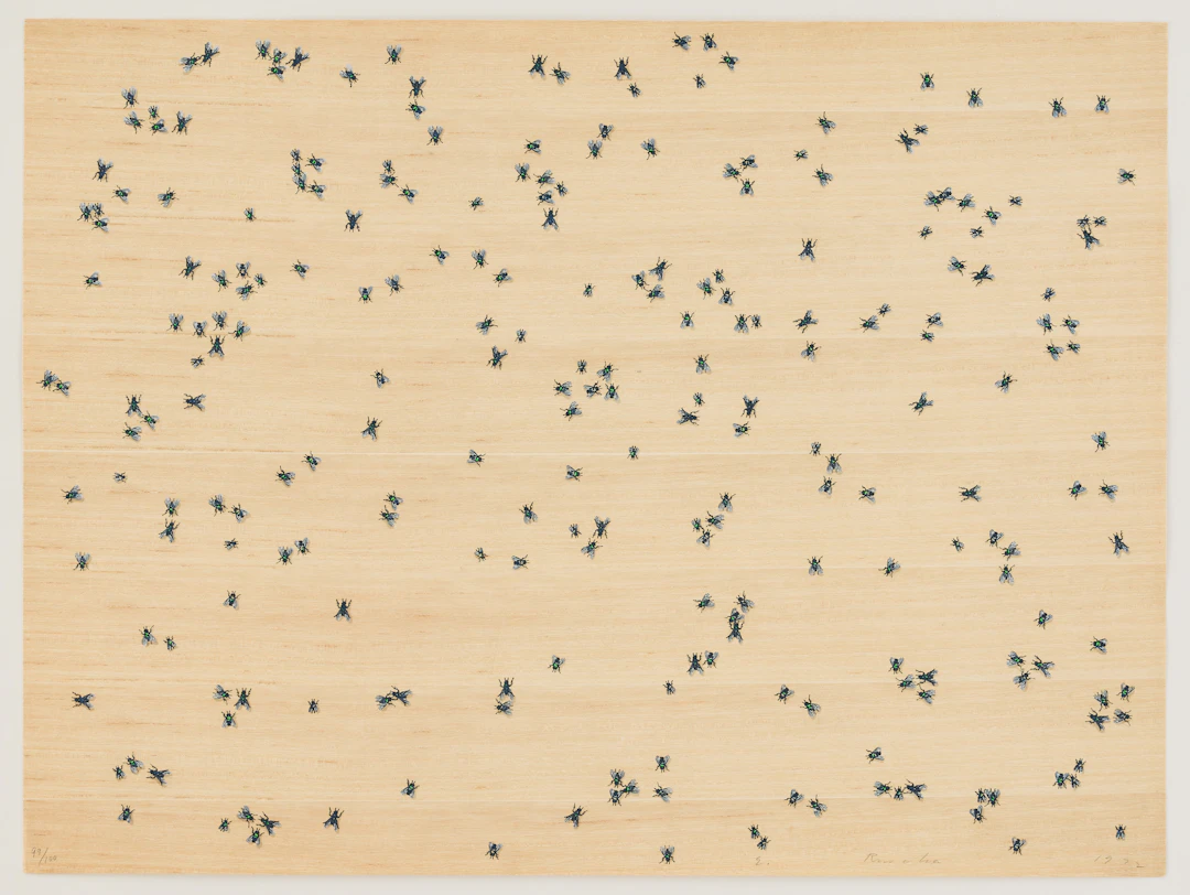 ED RUSCHA. "Flies" from Insects Portfolio.