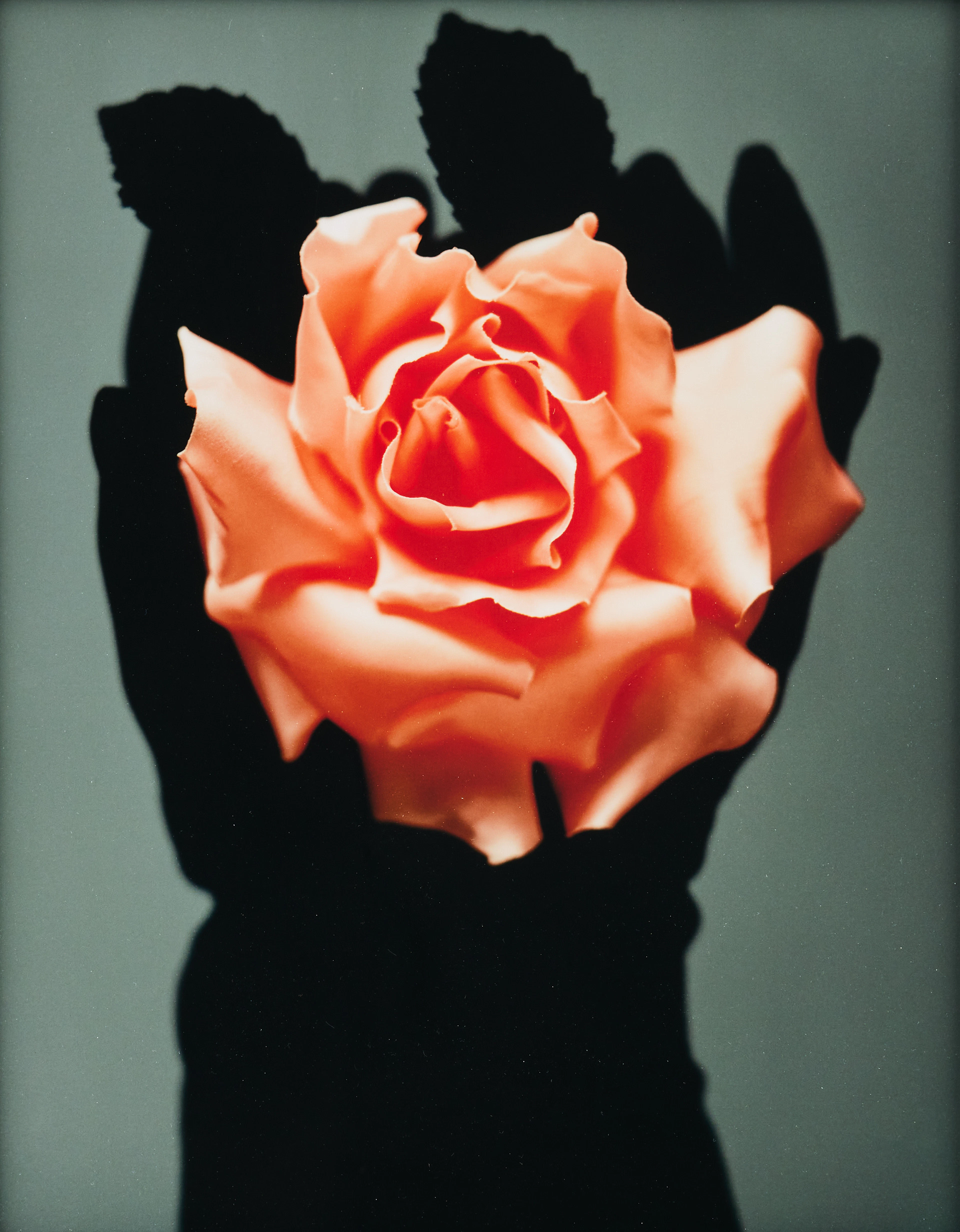 DAWID (BJÖRN DAWIDSSON). "Joyce" 1995.