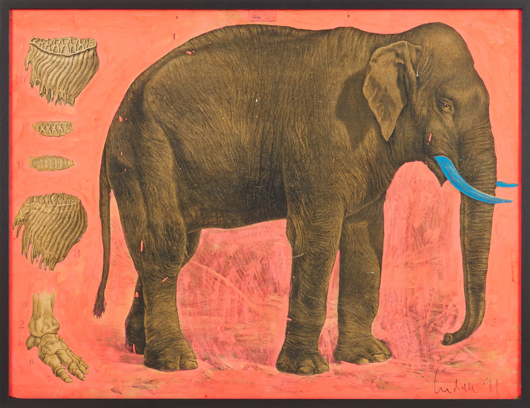 ULF LUNDELL. Elefant, akryl på grafiskt blad, signerad, daterad 91.