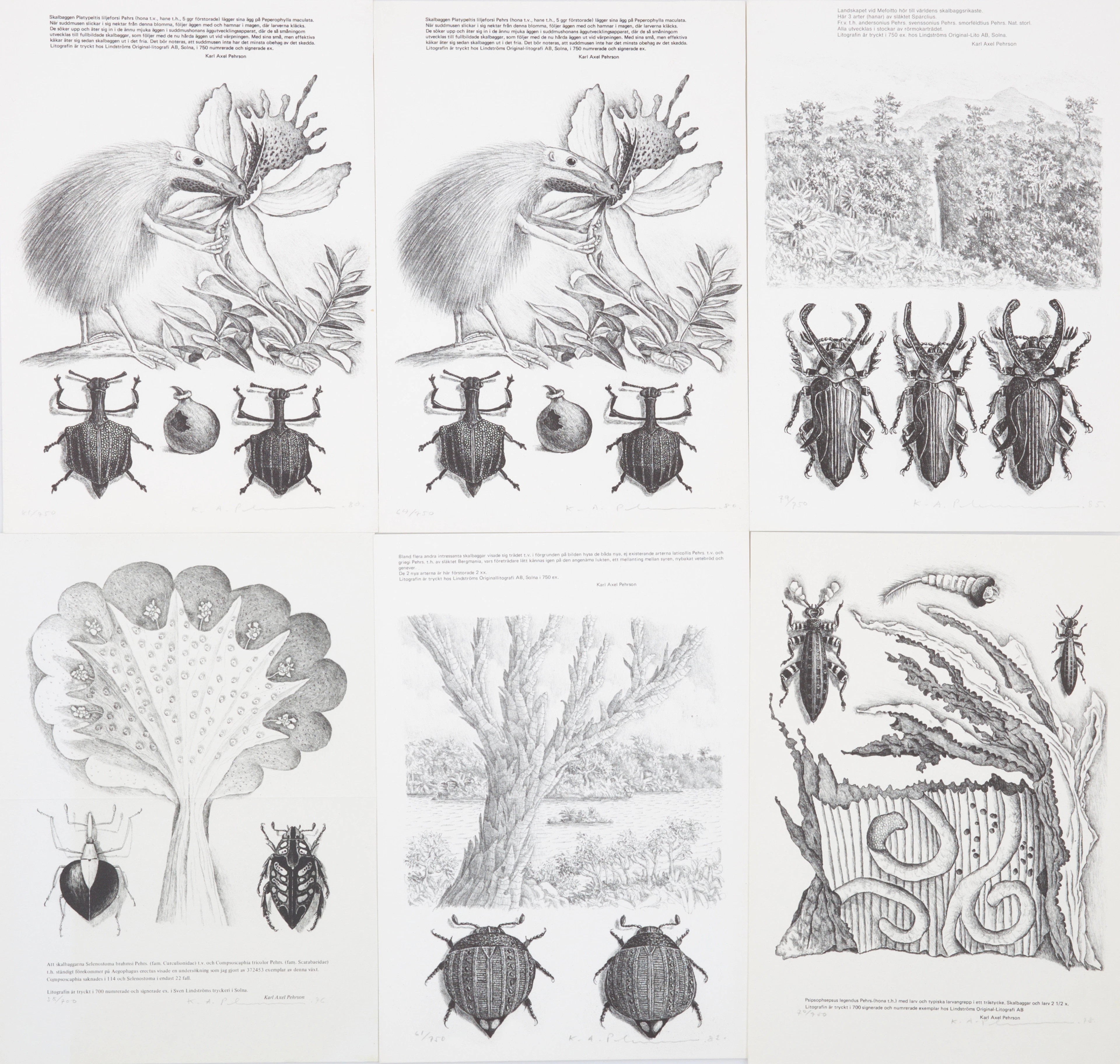 KARL AXEL PEHRSON. Grafiska blad, 5+1 st, litografi, signerade och numrerade.