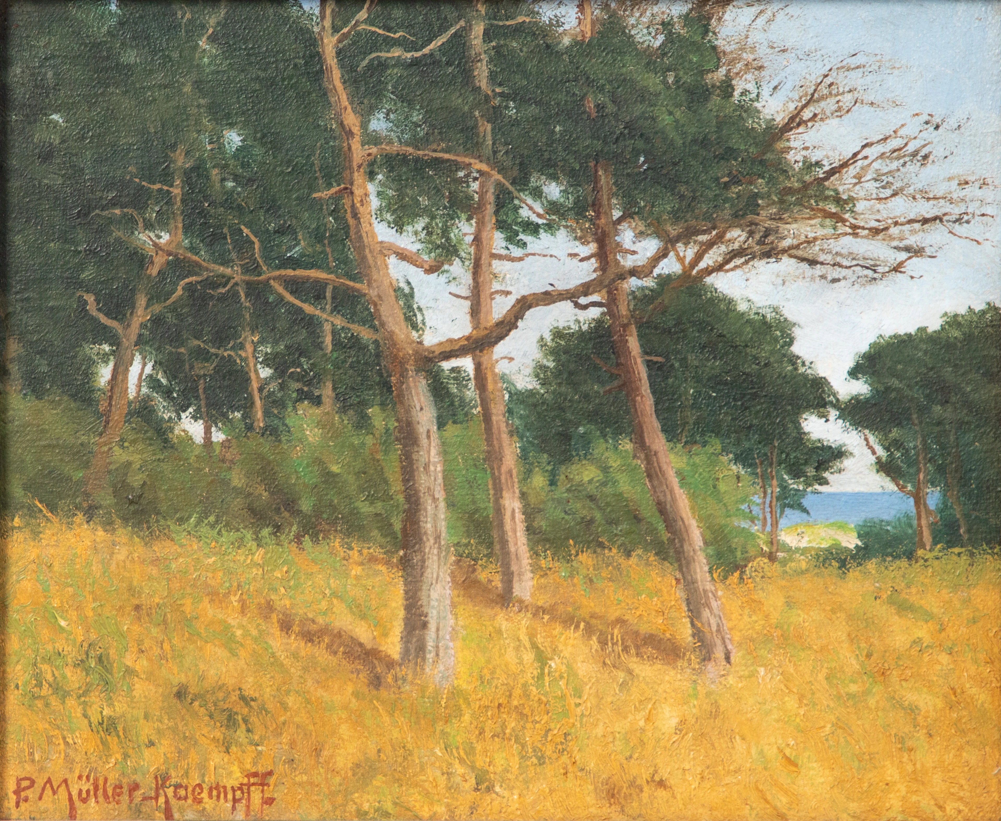 PAUL MÜLLER-KAEMPFF (1861-1941). Landschaft auf dem Darß mit Ausblick zum Meer.