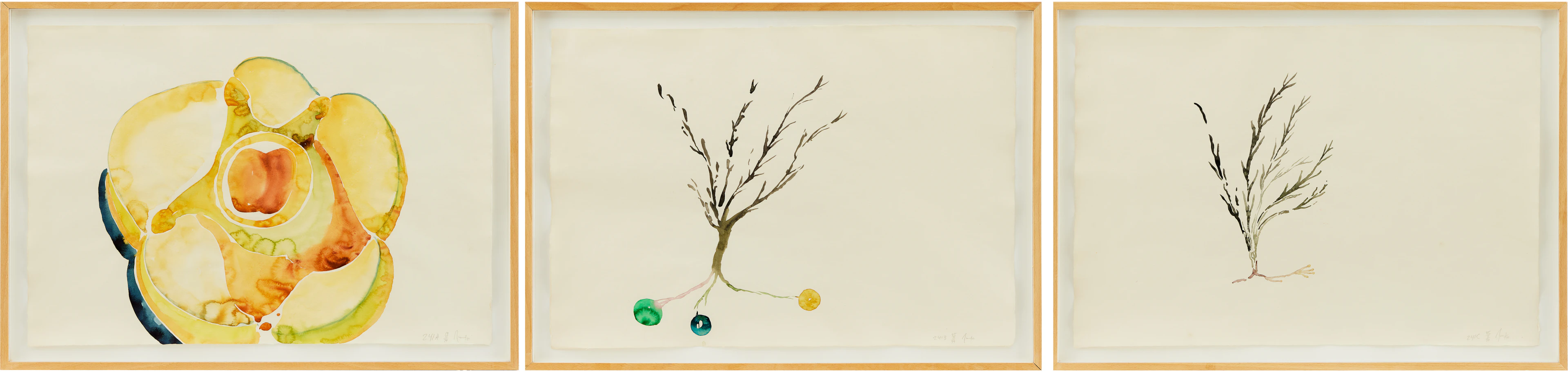 ULF ROLLOF. "241 A,B,C" - triptyk.