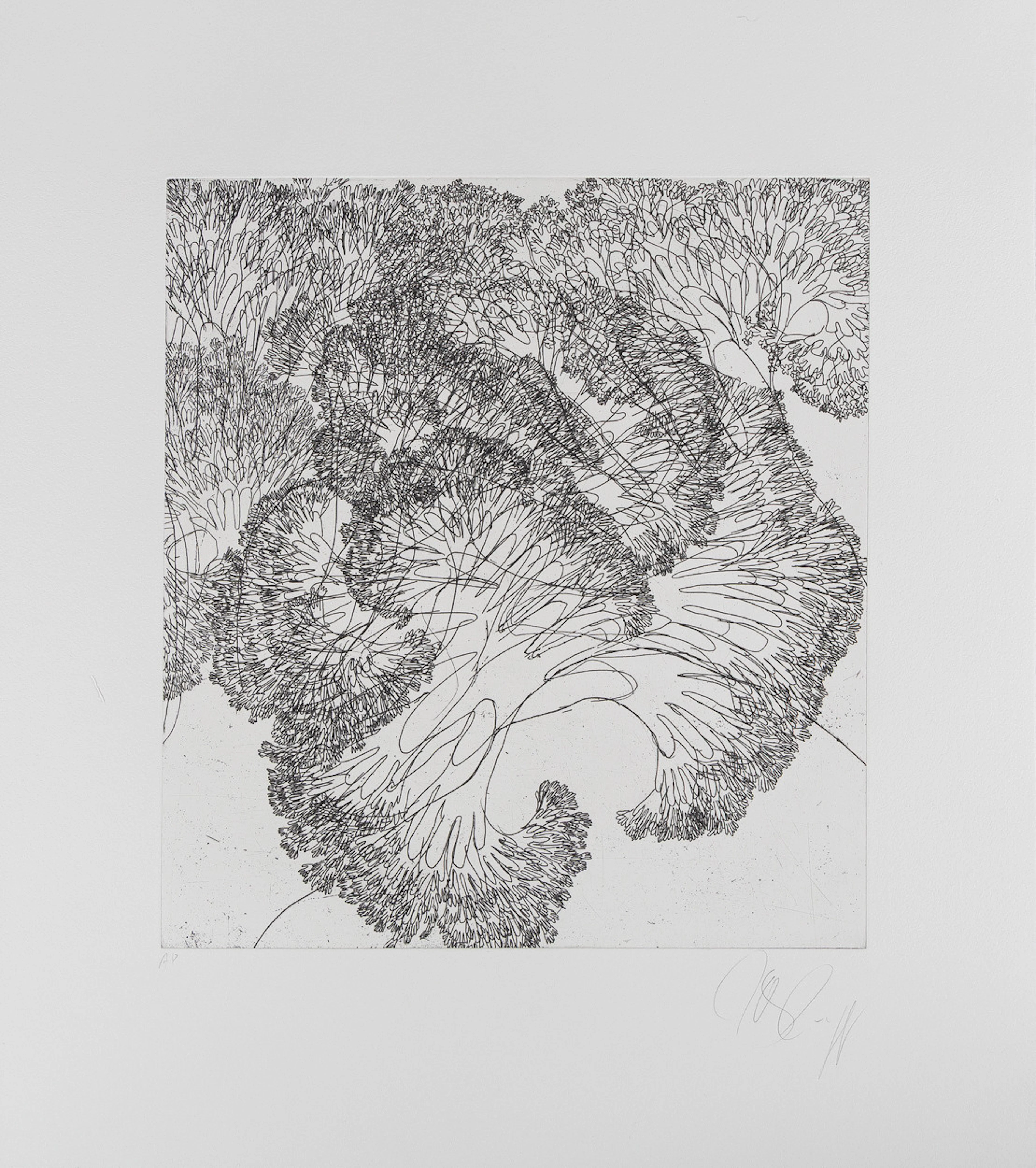 TONY CRAGG (FÖDD 1949). komposition, etsning, oramat blad.