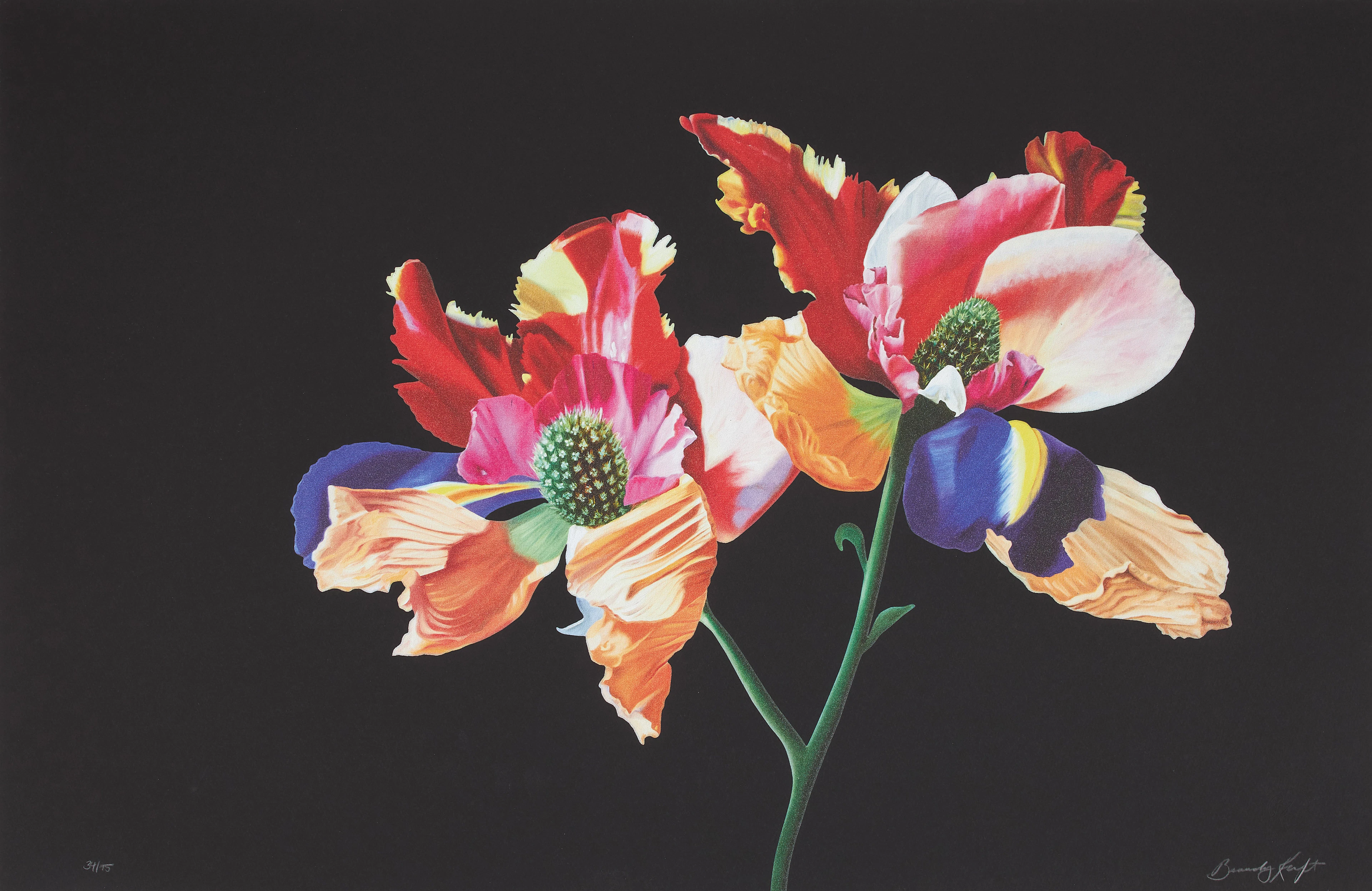 BRANDY KRAFT. Imagined flora, digitalt plantryck, signerad och numrerad 34/75.