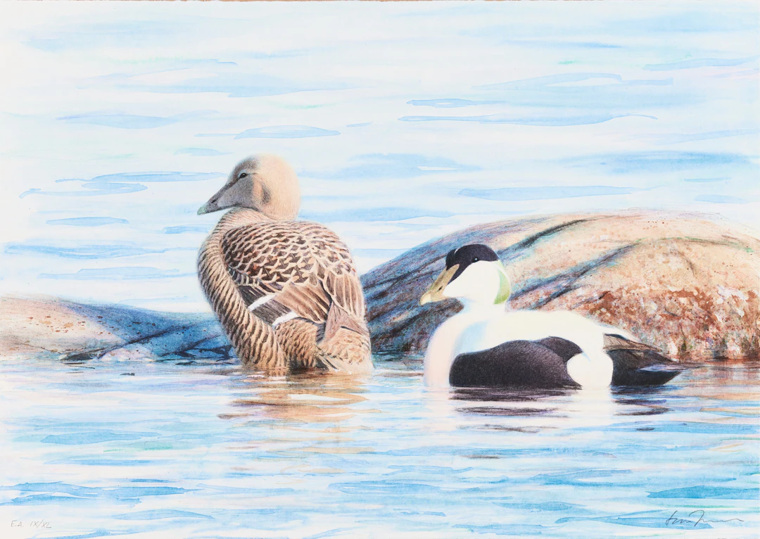 LARS JONSSON. Ejdrar, färglitografi, signerad EA IX/XL.