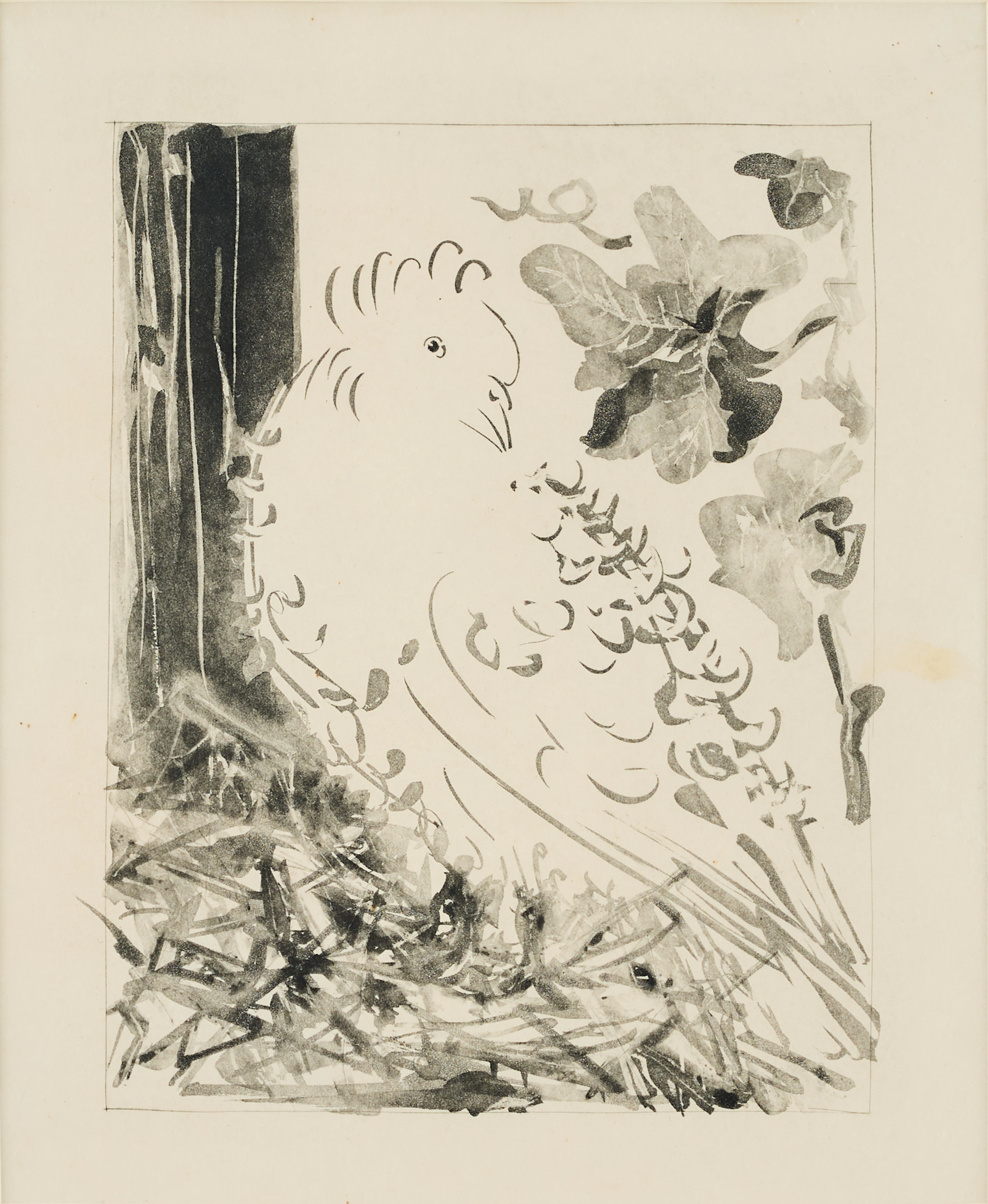 PABLO PICASSO. "Le Pigeon" from "Histoire Naturelle".