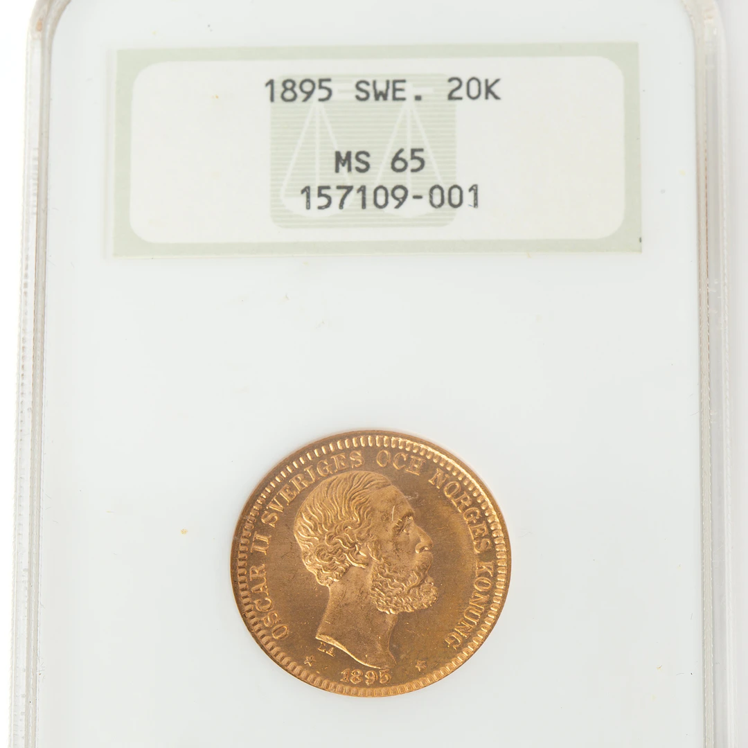 MYNT, 20 kr, Oscar II 1895.