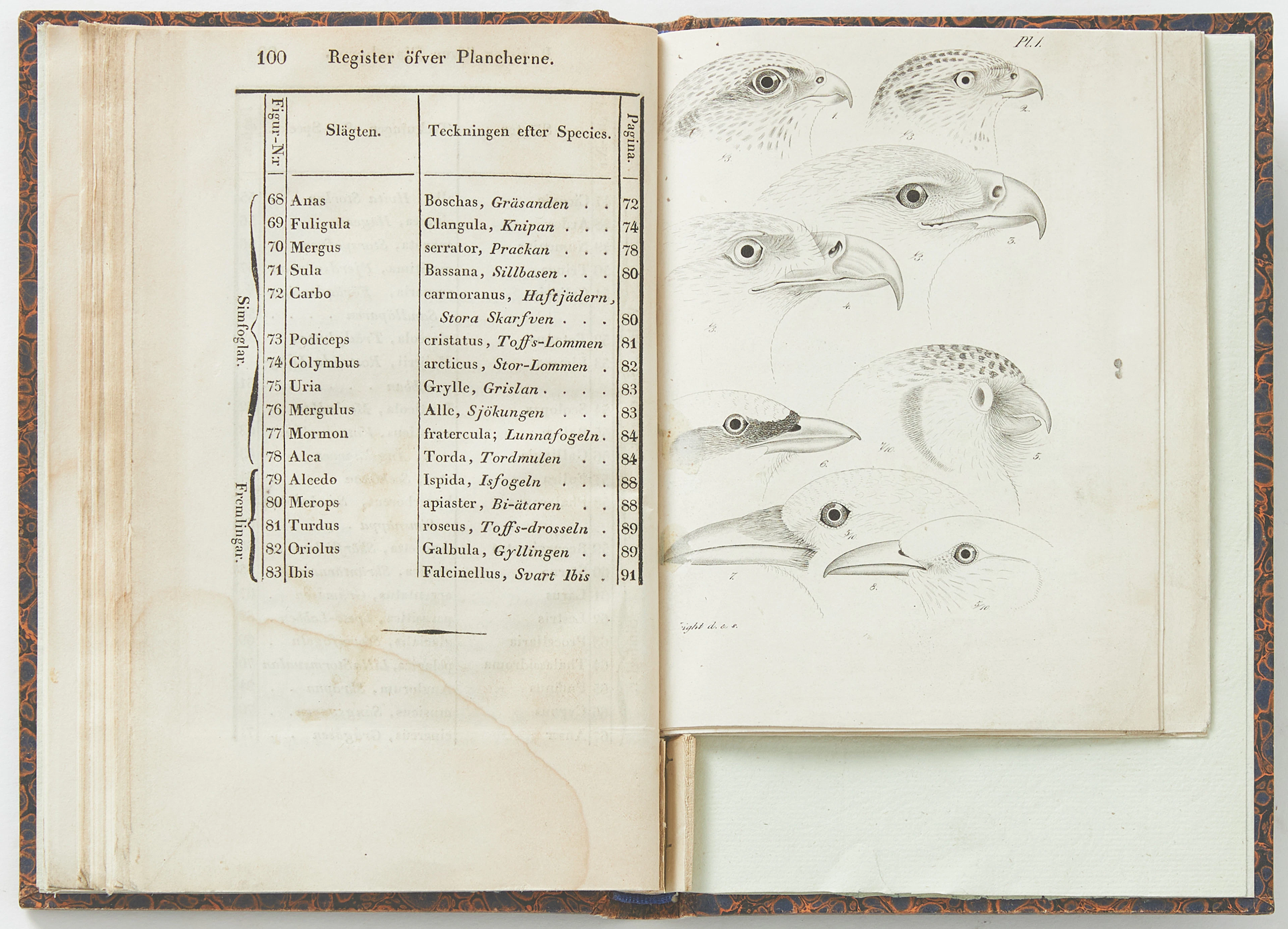 SÄLLSYNT ARBETE OM FÅGELNÄBBAR MED ILLUSTRATIONER AV WILHELM VON WRIGHT 1839.