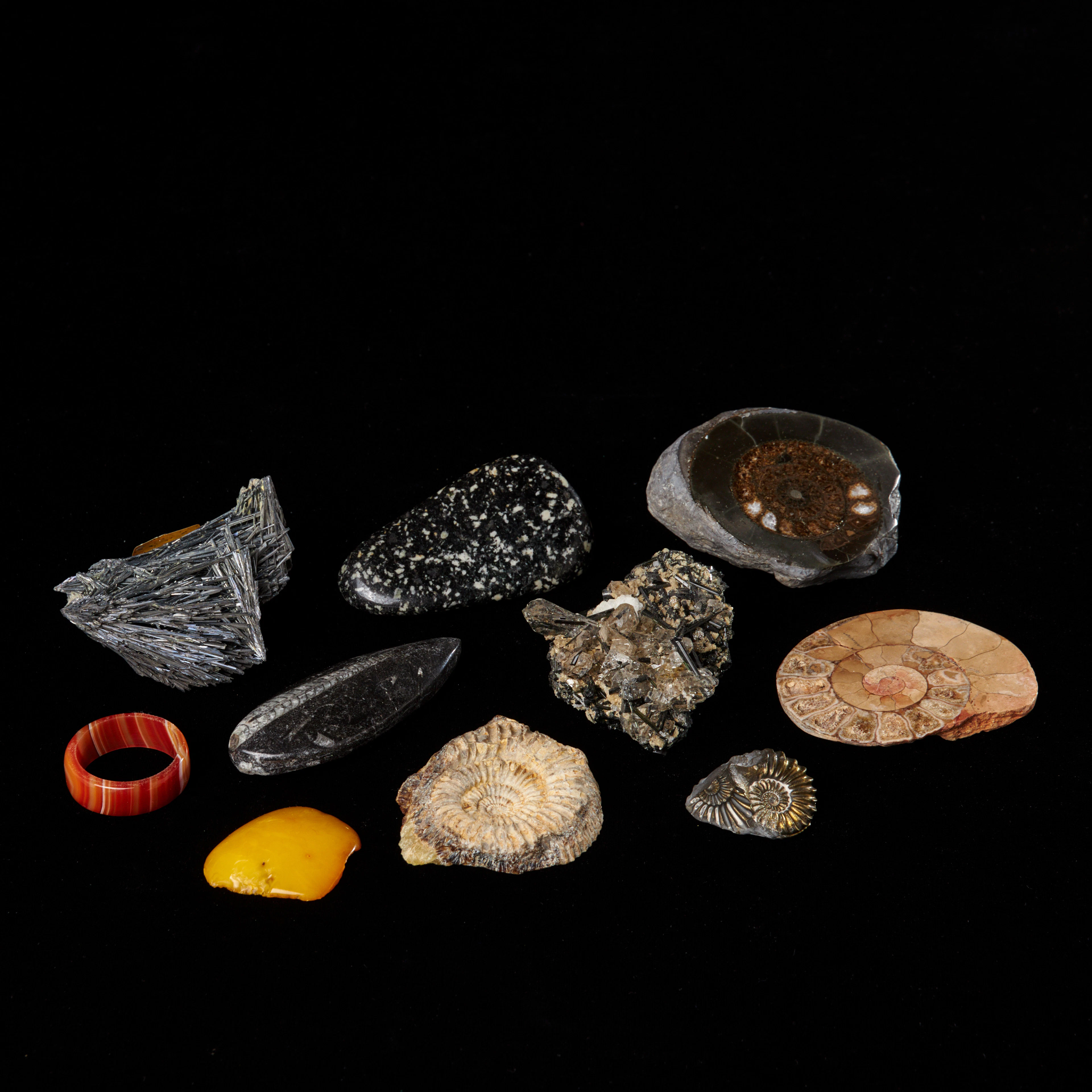 MINERALER och FOSSILER, 10 st, ammoniter, ortoceratit, stibin, bärnsten