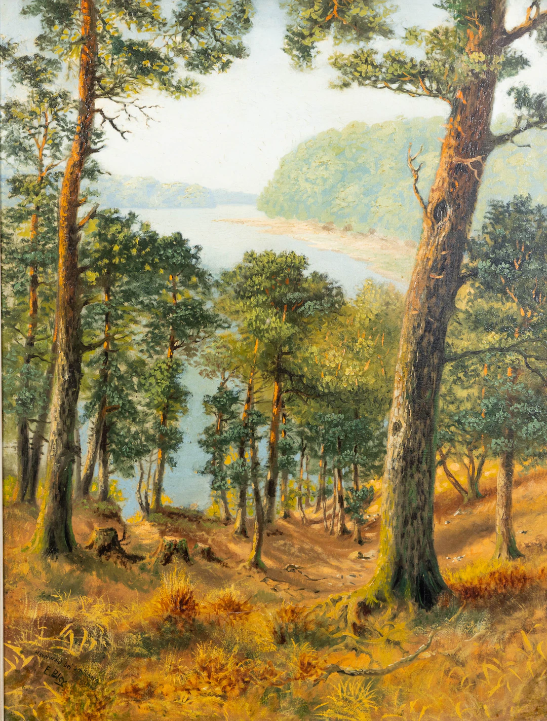 ERNST BLEY (20. JAHRHUNDERT). Havelwald bei Schildhorn.
