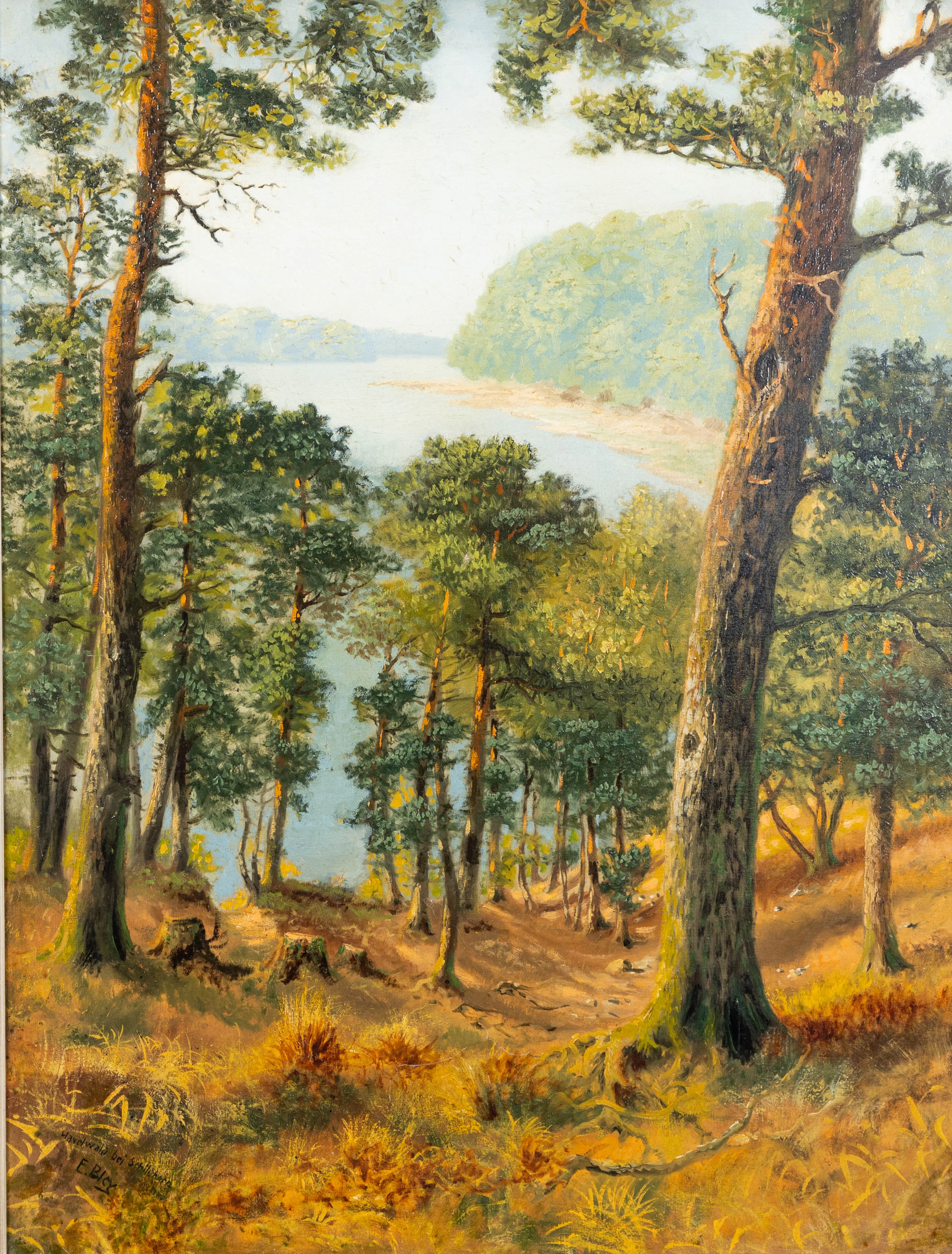 ERNST BLEY (20. JAHRHUNDERT). Havelwald bei Schildhorn.