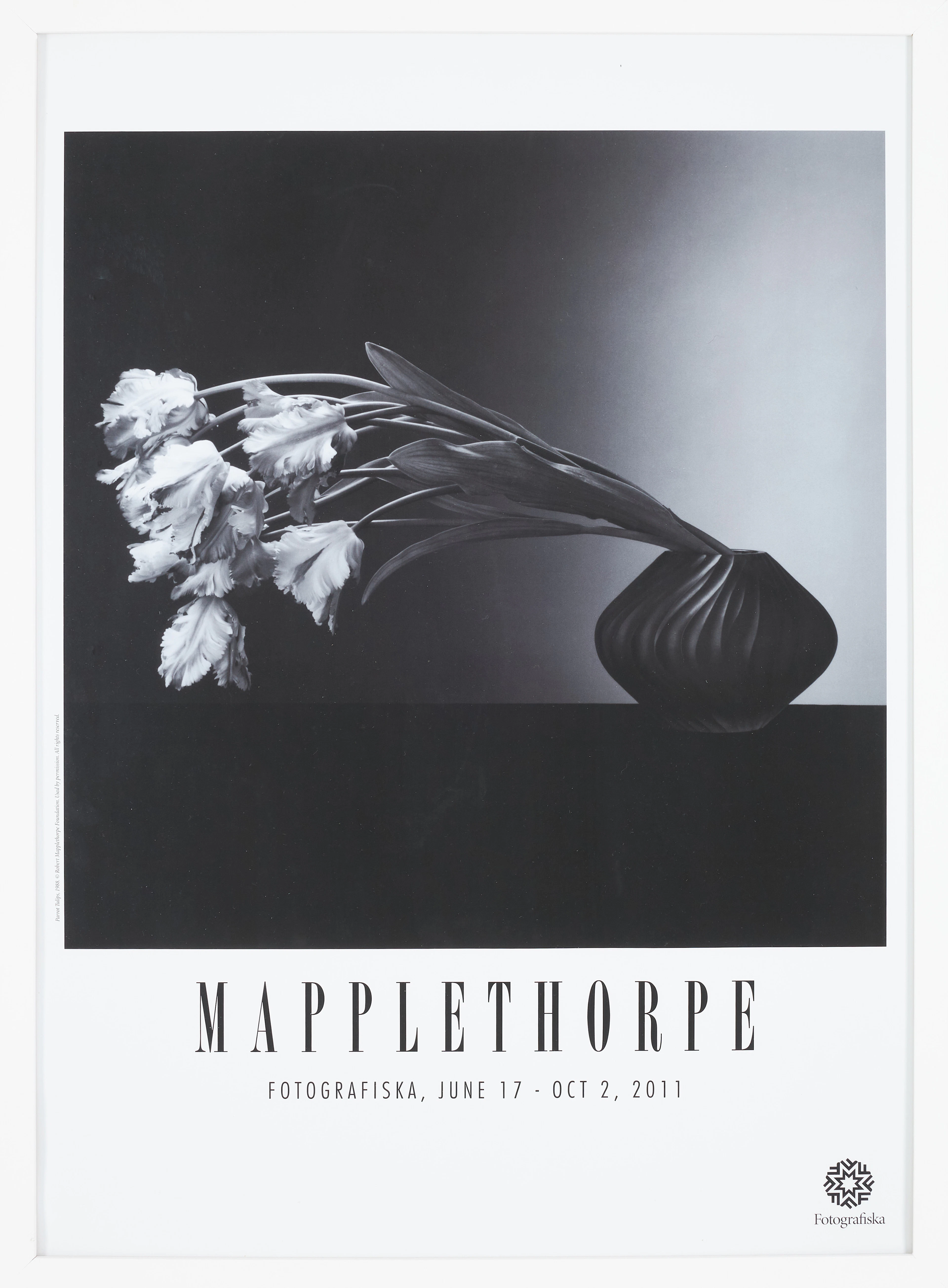 ROBERT MAPPLETHORPE. Grafiskt tryck, Fotografiska, 2011.