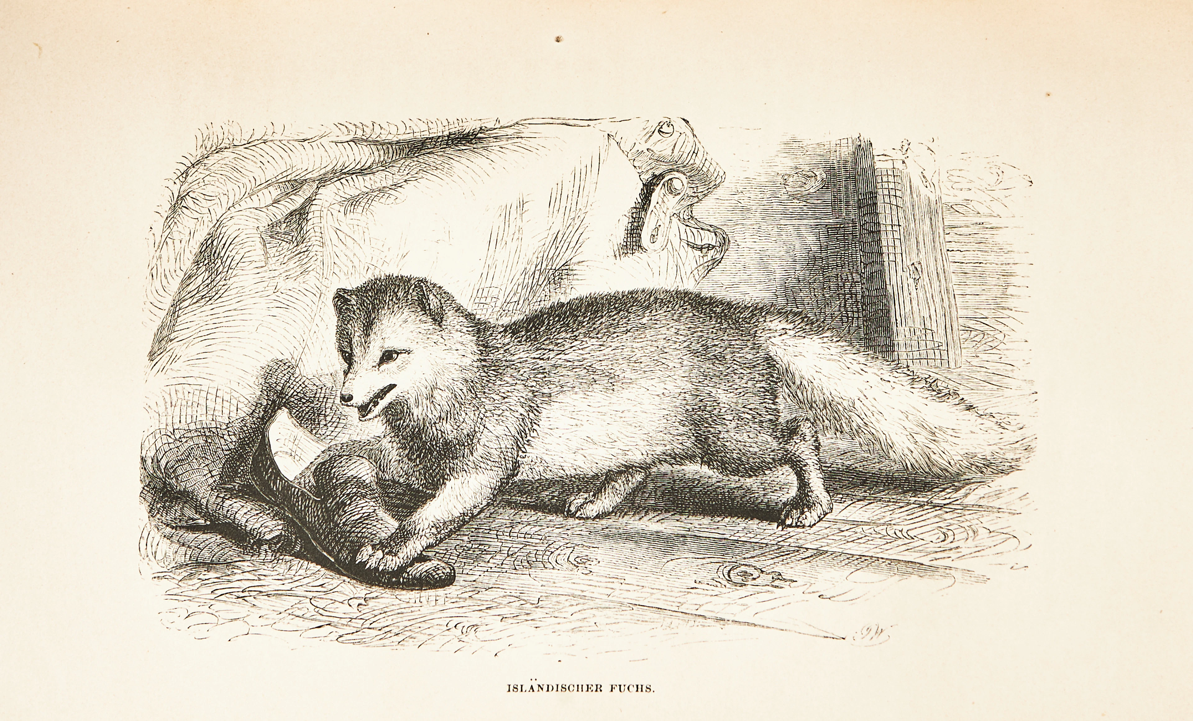 DUFFERINS RESOR I ISLAND, NORGE M.M., Briefe aus Hohen Breitegraden, 1860.