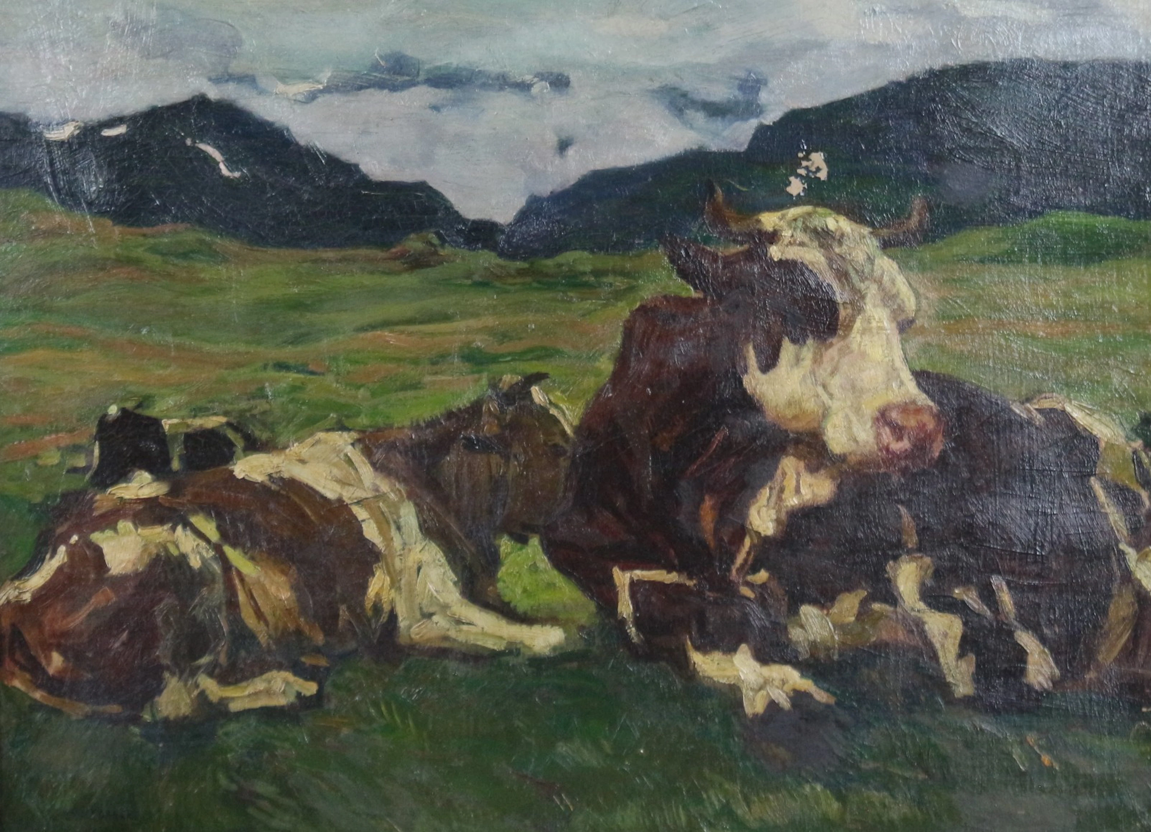 CARL EDERER (1875-1950). Öl auf Malkarton , '' Kühe auf der Weide ''.