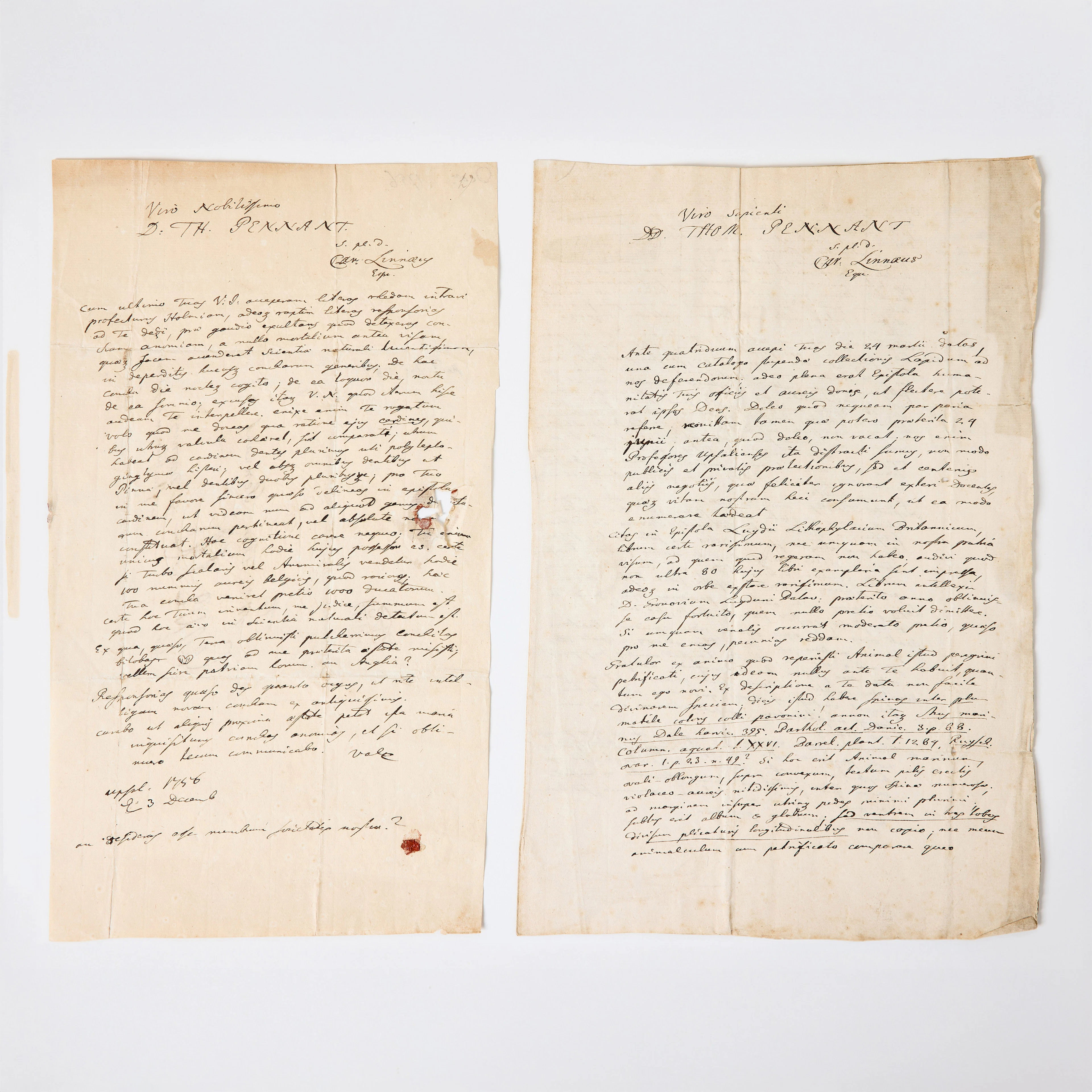 LINNAEUS'S TWO AUTOGRAPH LETTERS TO THOMAS PENNANT, 1756, one with