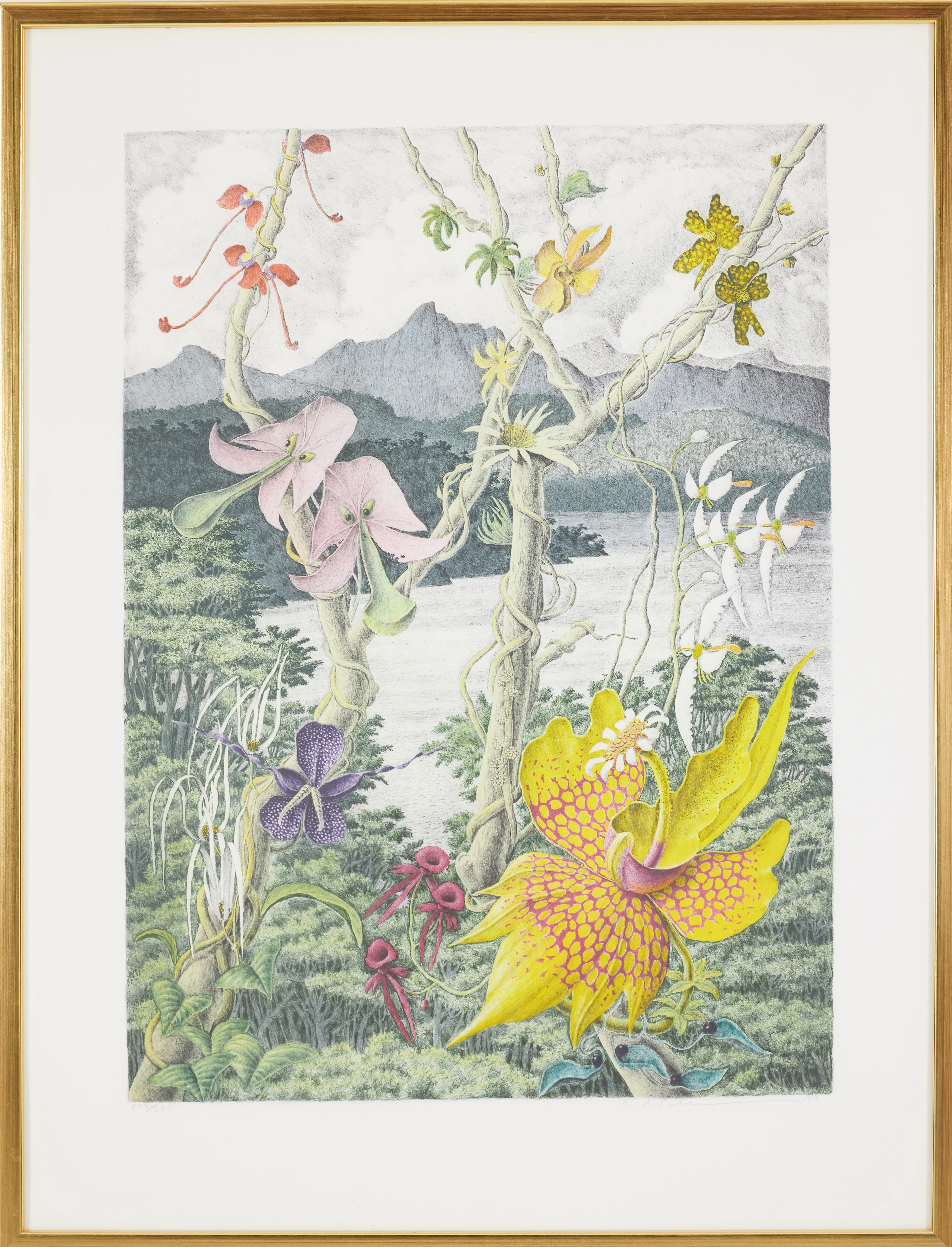KARL AXEL PEHRSON. Botaniskt motiv, plantryck, signerad, numrerad 257/385.