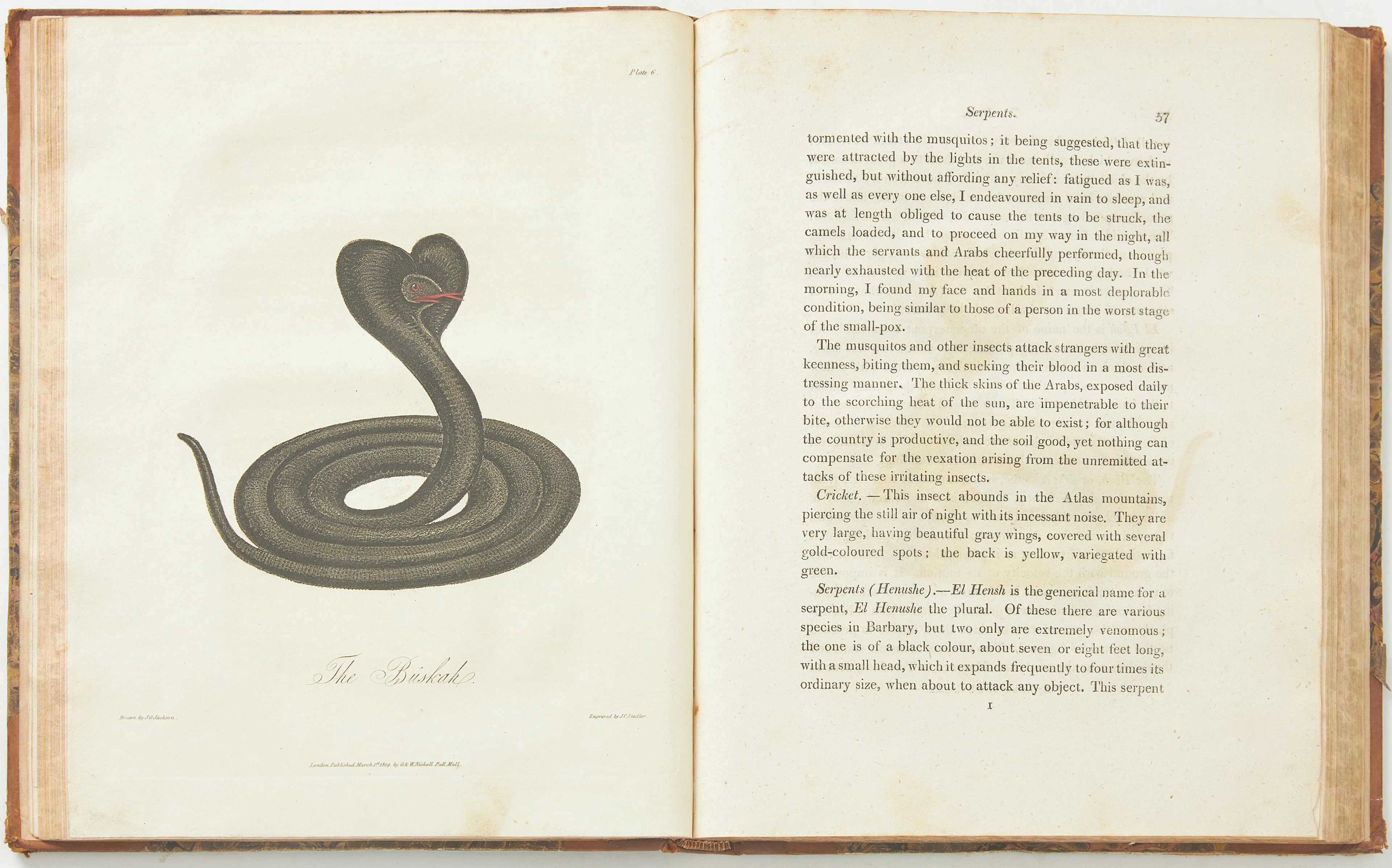 JACKSON ON MOROCCO, An Account of the Empire of Marocco, 1809.