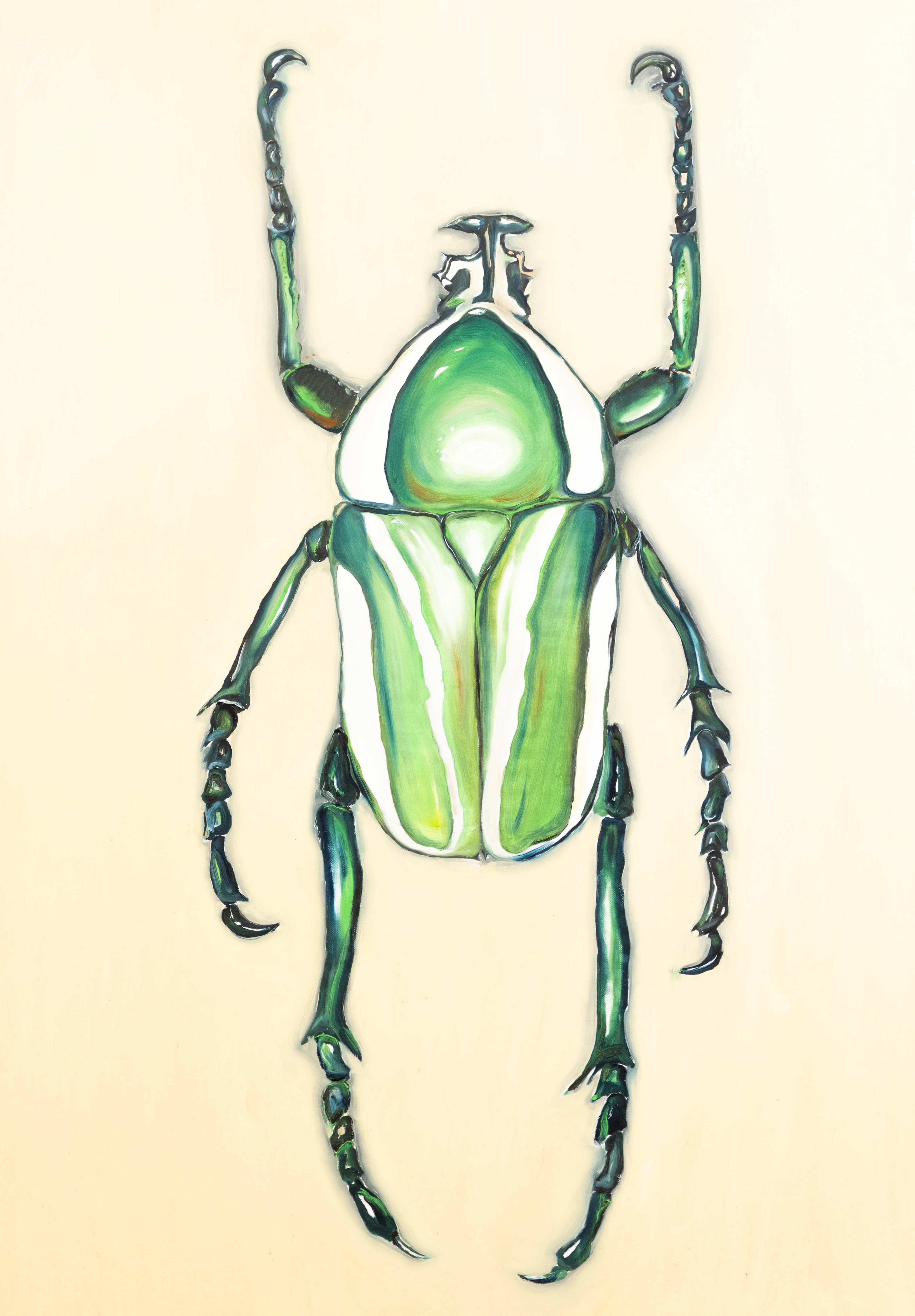 ALEXANDER FRIEDMANN-HAHN (GEB. 1976). The Bug.