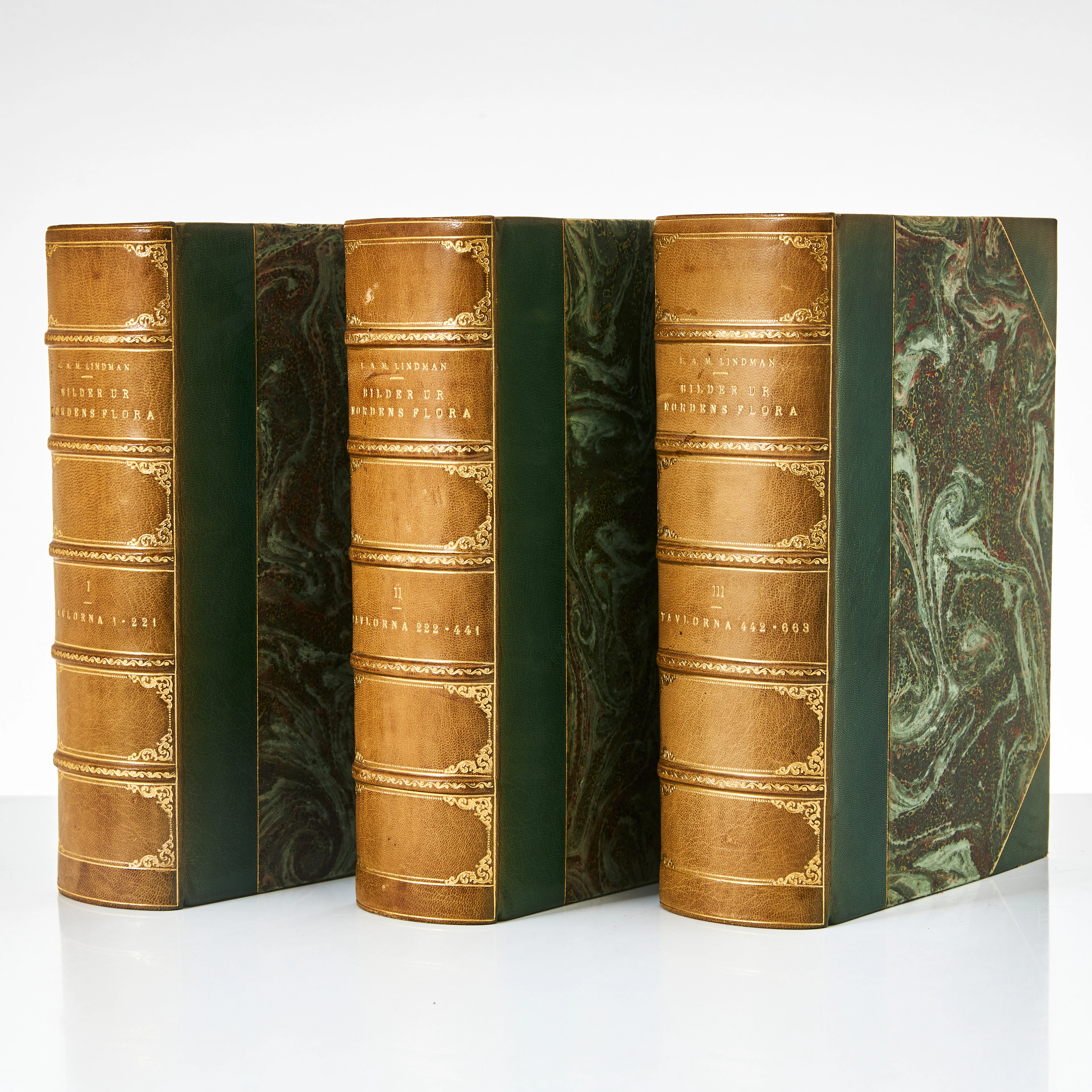 BLOMSTERPLANSCHER, 3 vol (I-III), Bilder ur Nordens flora, CAM Lindman