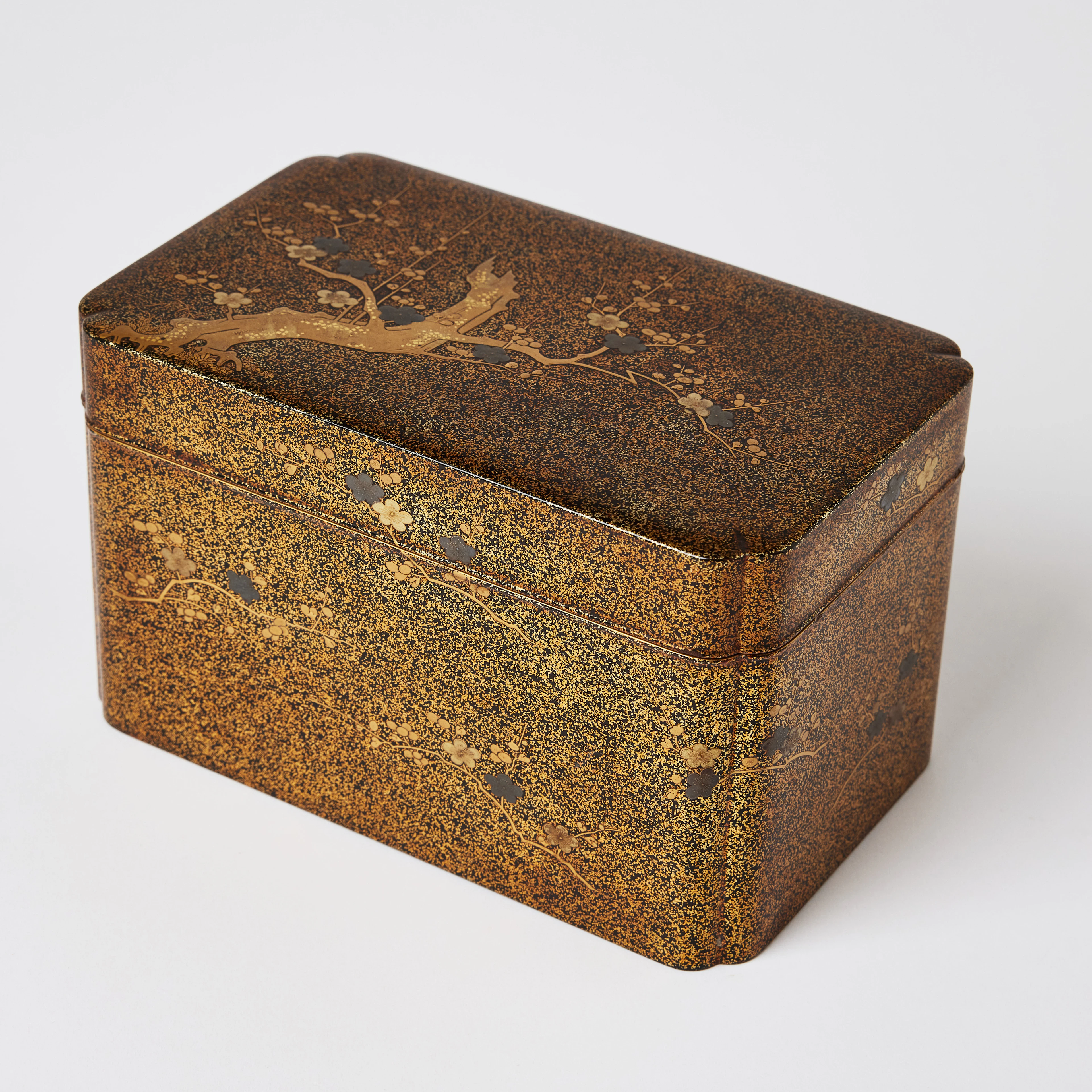 A Japanese Lacquer Accessory Box 'Tebako'.
