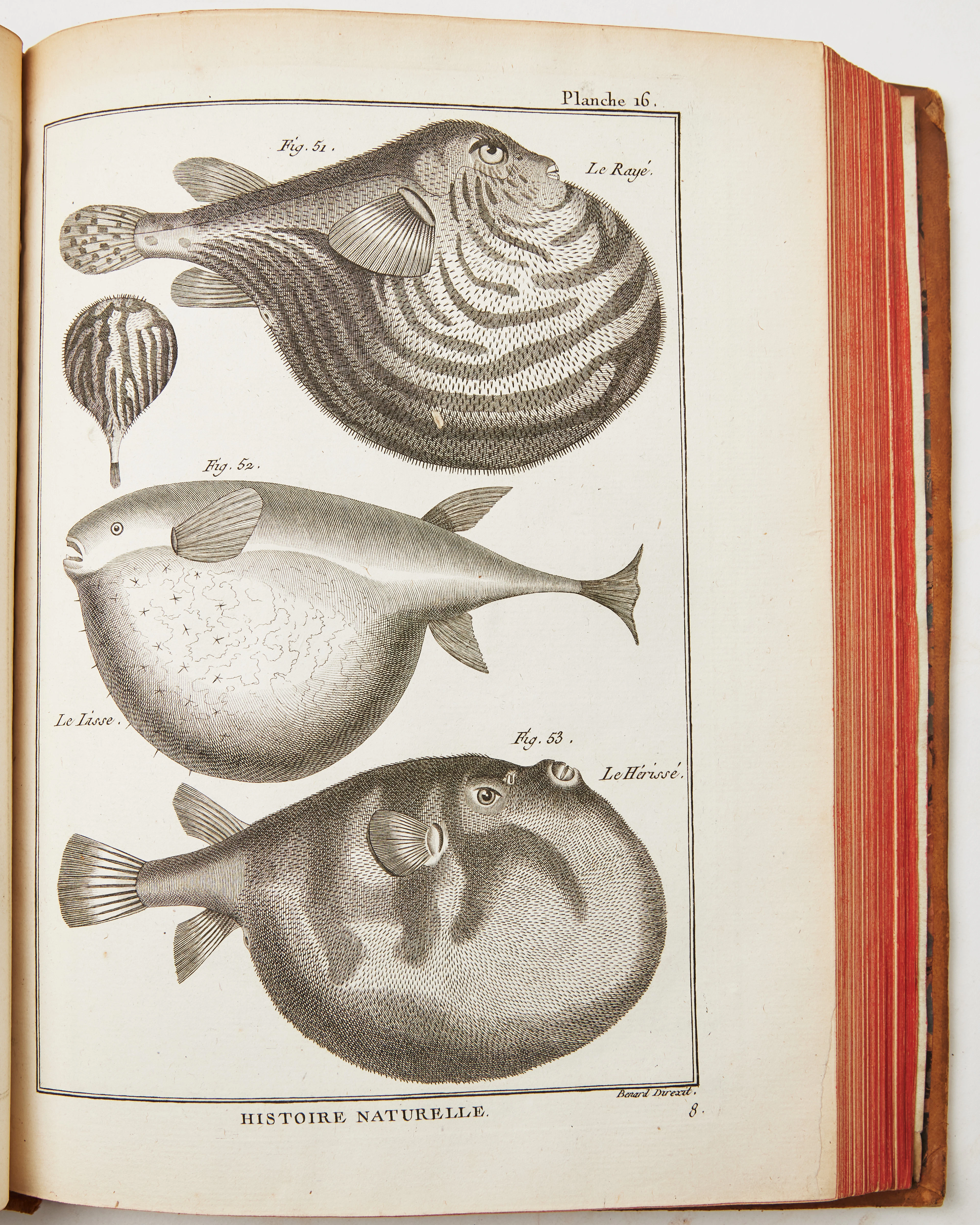 ENCYCLOPEDIE METHODIQUE, KLASSISKT VERK FRÅN UPPLYSNINGEN, ca 4000