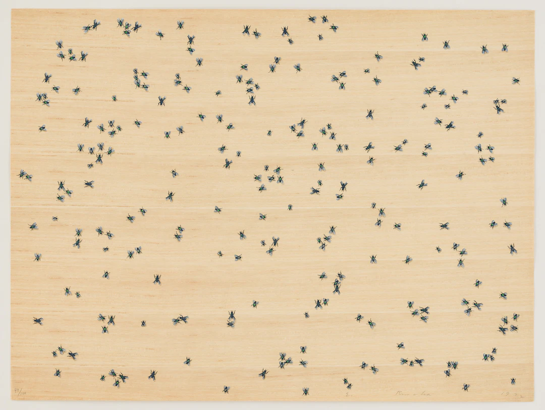 ED RUSCHA. "Flies" from Insects Portfolio.