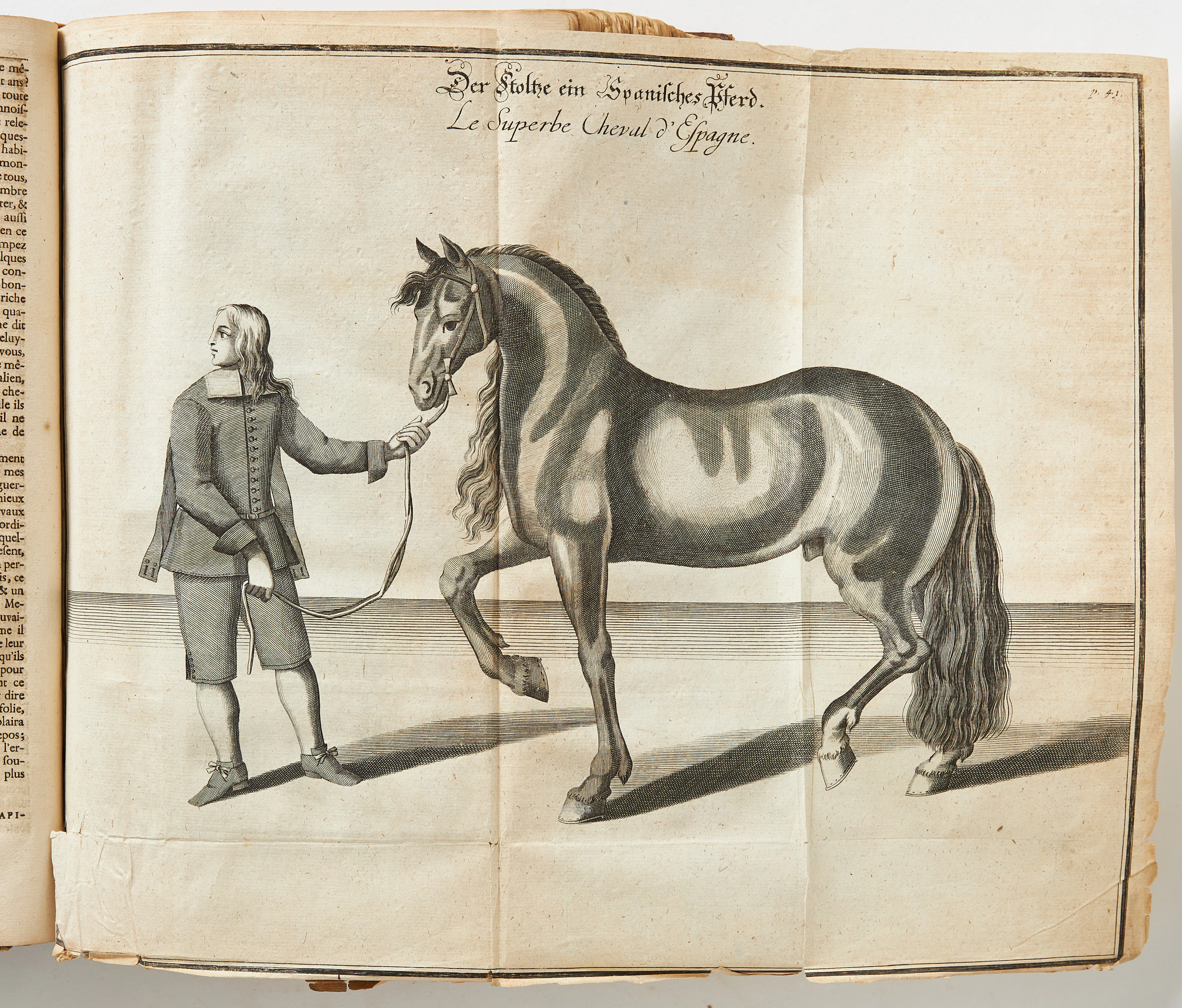 EWCASTLE' S Neu-eröffnete Reit-Bahn, 1700, & WINTER'S WORK ON HORSE