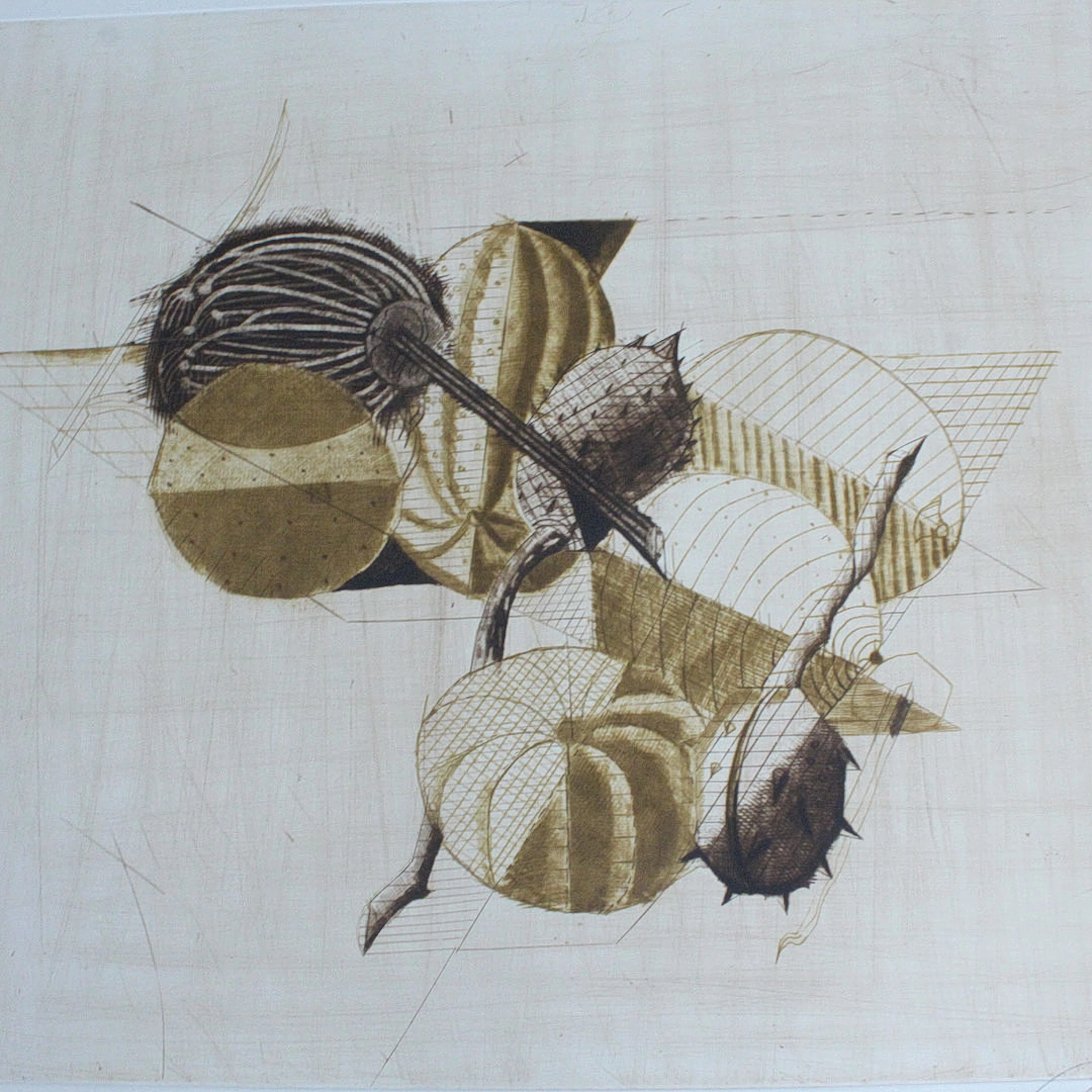 BRIGITTE COUDRAIN (1934). Farbradierung, '' Geometrische Stillleben