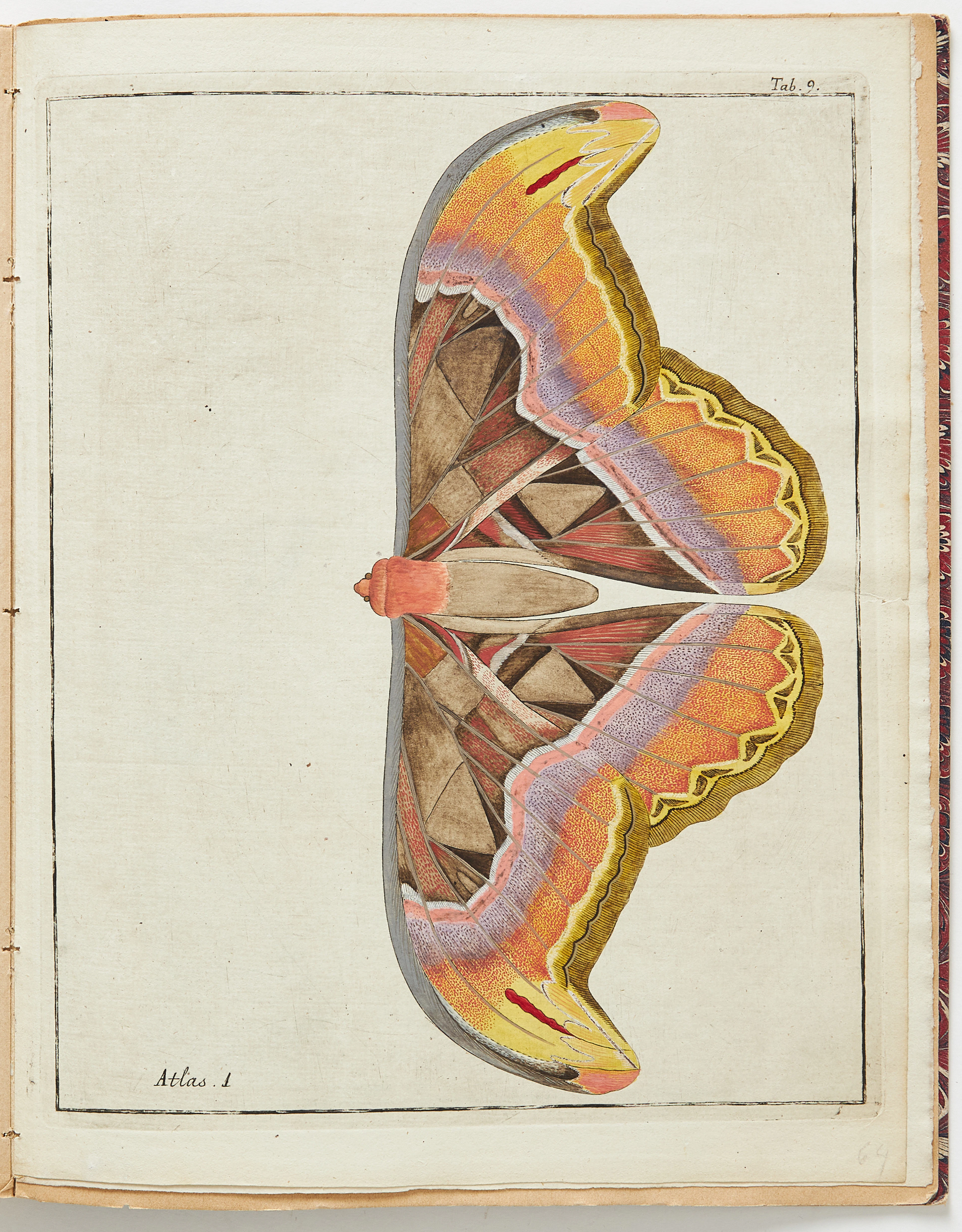 CLERCKS SÄLLSYNTA VERK OM FJÄRILAR, Icones insectorum rariorum, 1759-64.