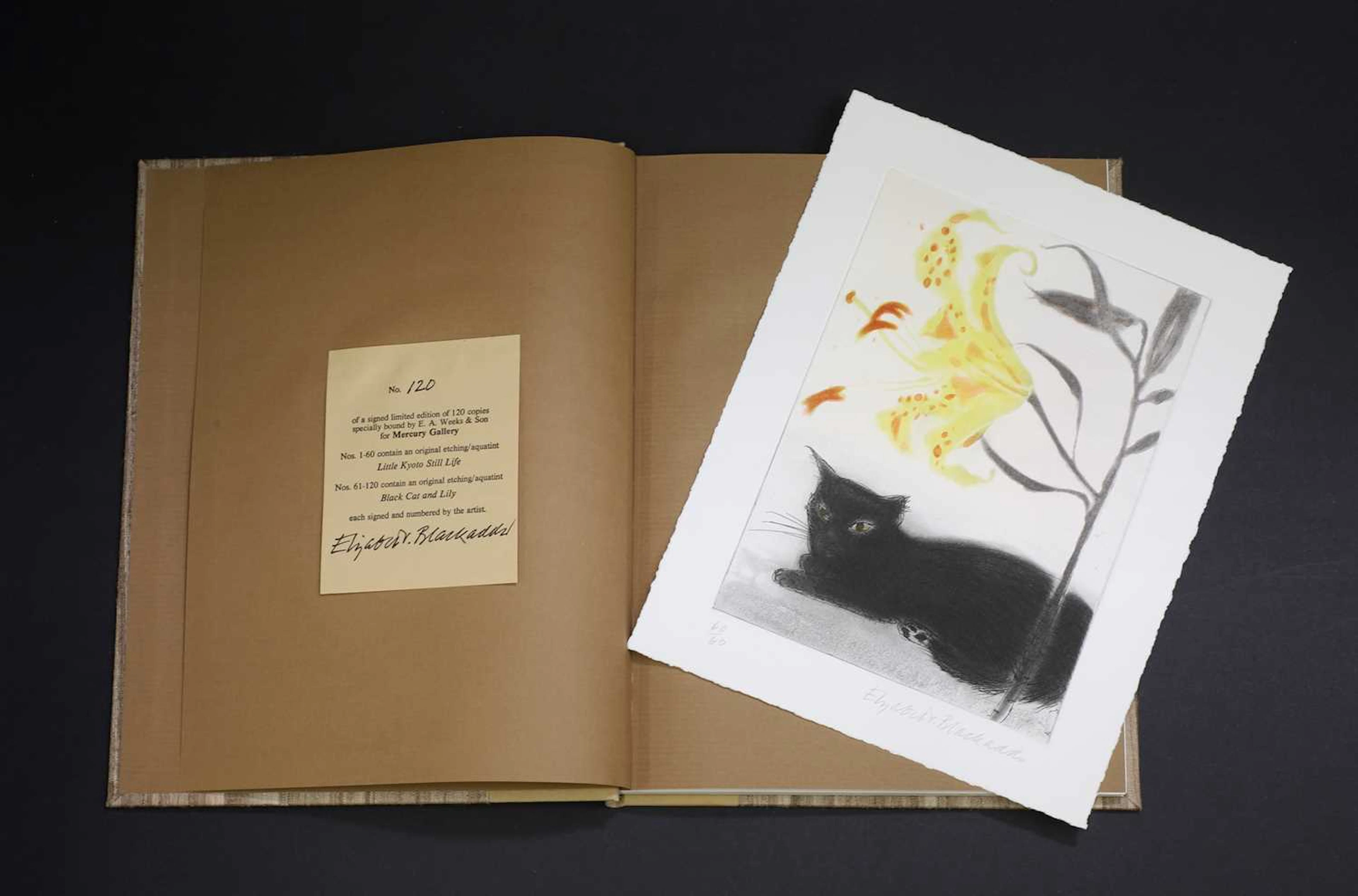 ▲ Elizabeth Blackadder (1931-2021)