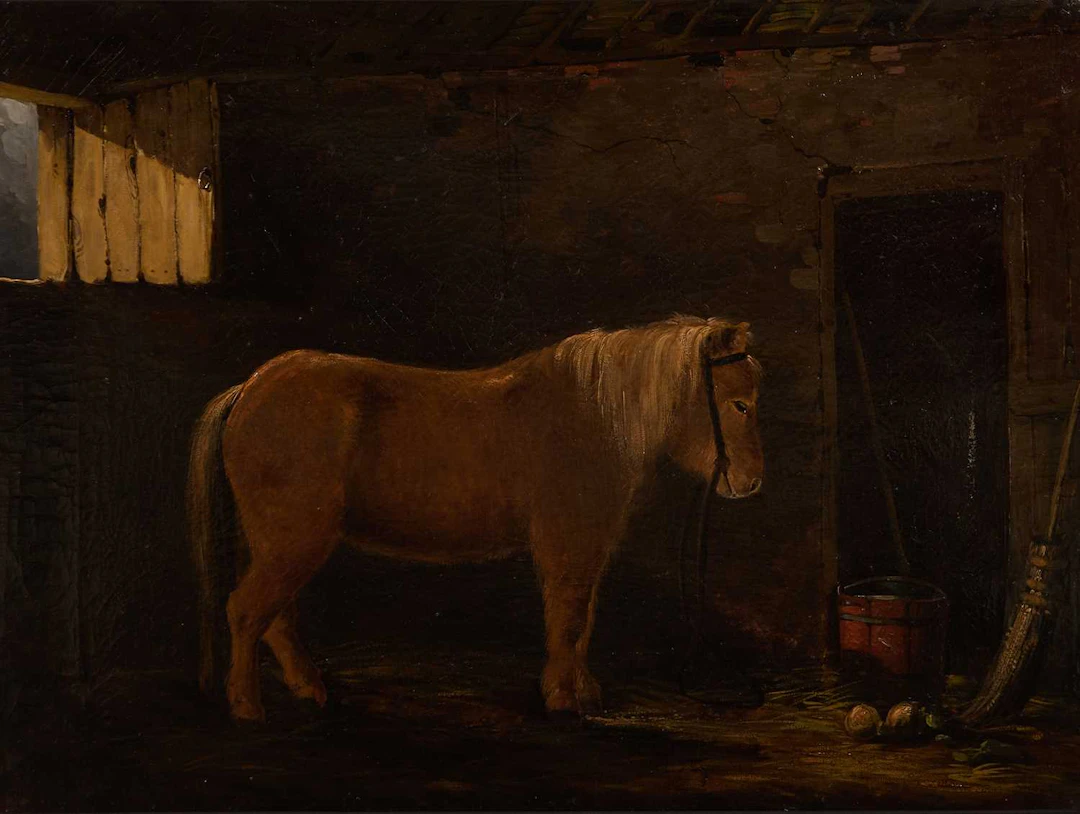 English School, late 19th century A pony in a stable