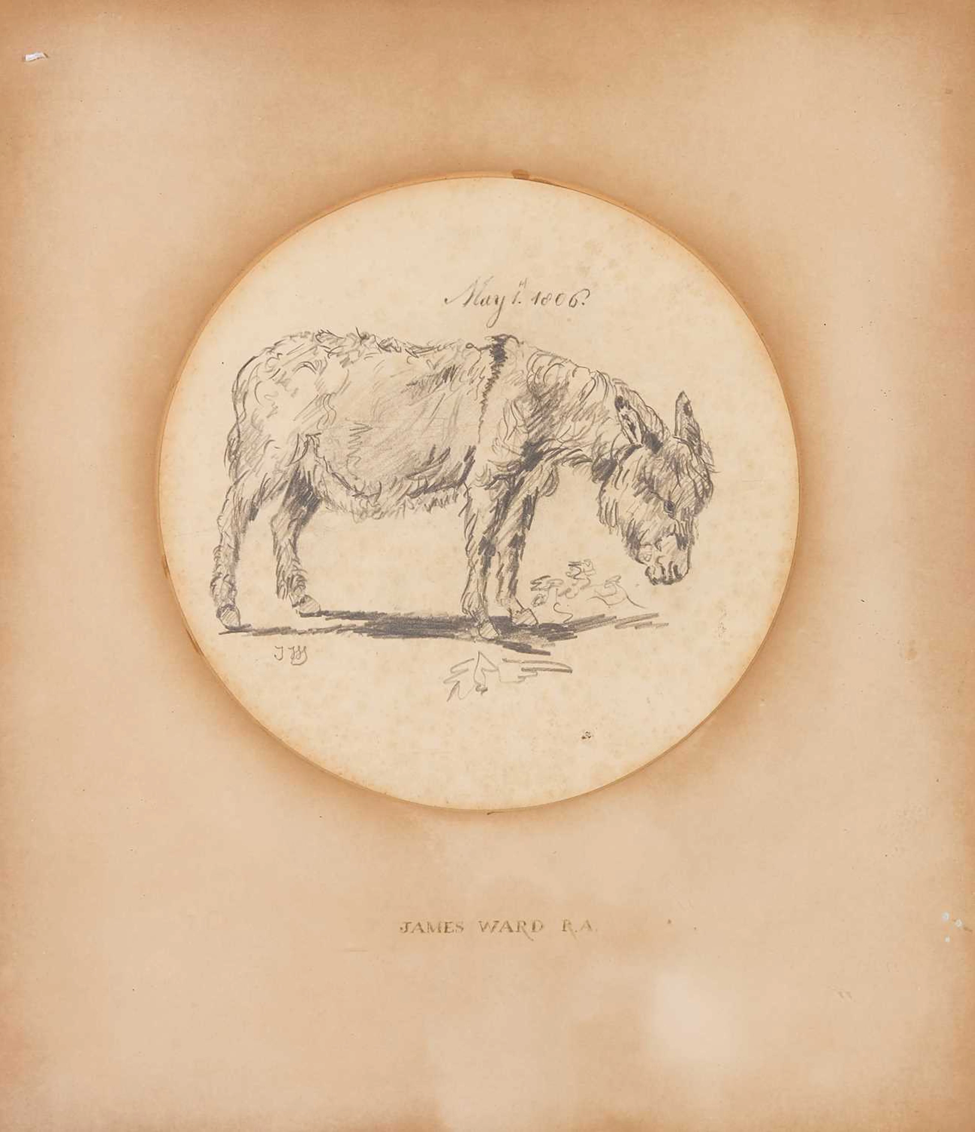James Ward RA (British, 1769-1859) Study of a donkey