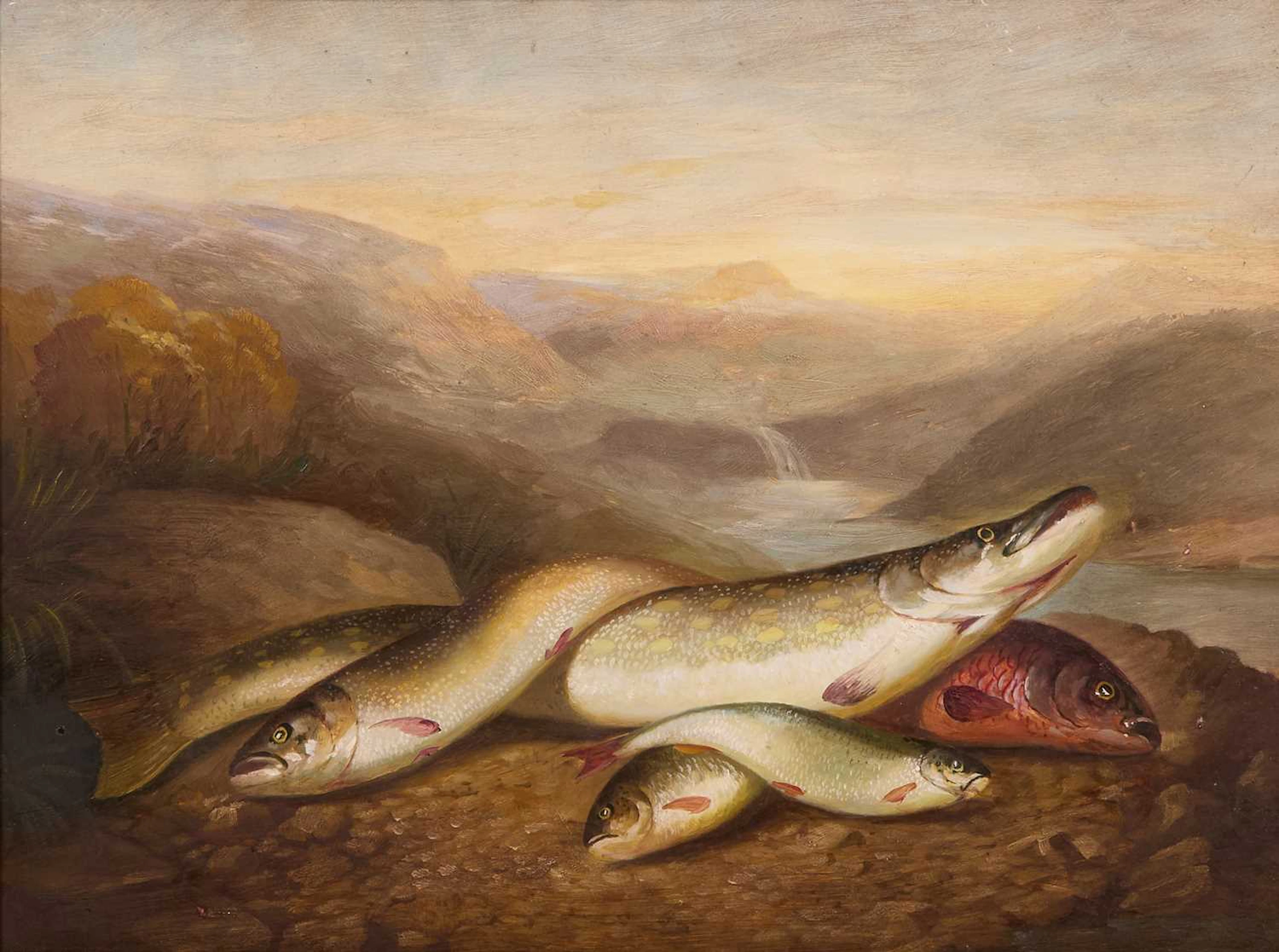 English School, 19th century The day's catch