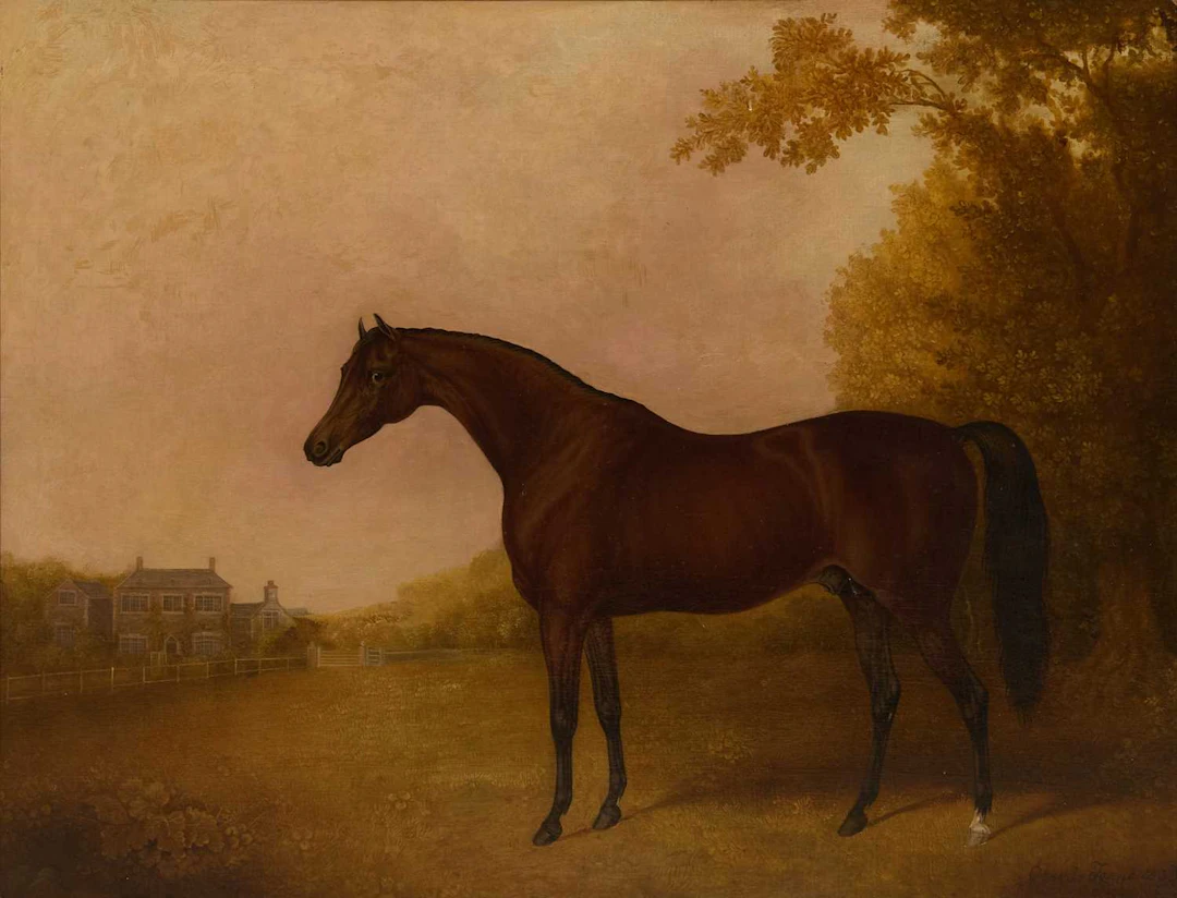 Charles Towne (British, 1763-1840) Portrait of a bay in a wooded landscape