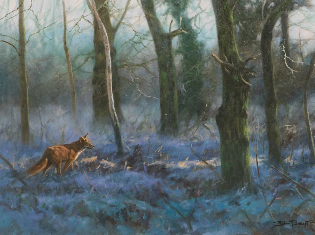 ▲ John Trickett (British, b.1952) A fox in a wooded landscape
