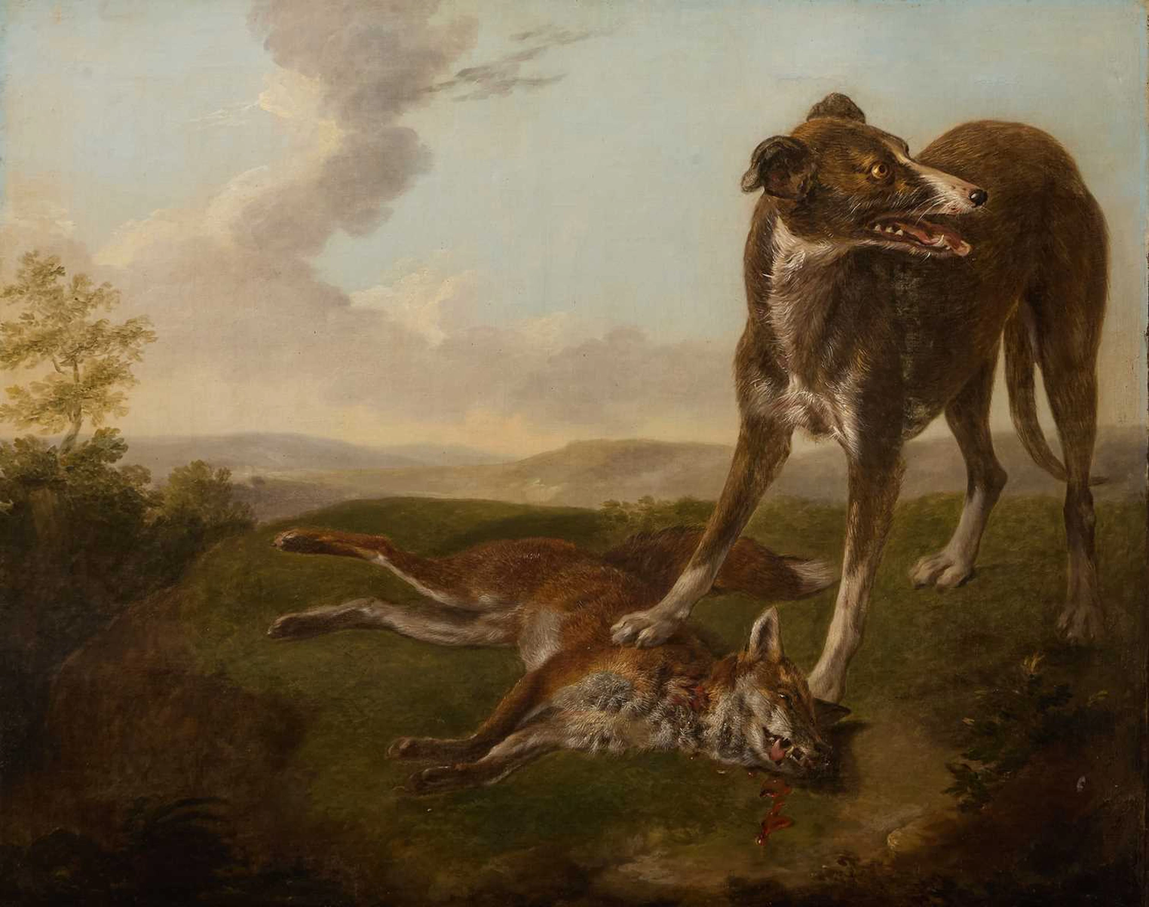 English School, early 19th century A lurcher with a fox in an open landscape