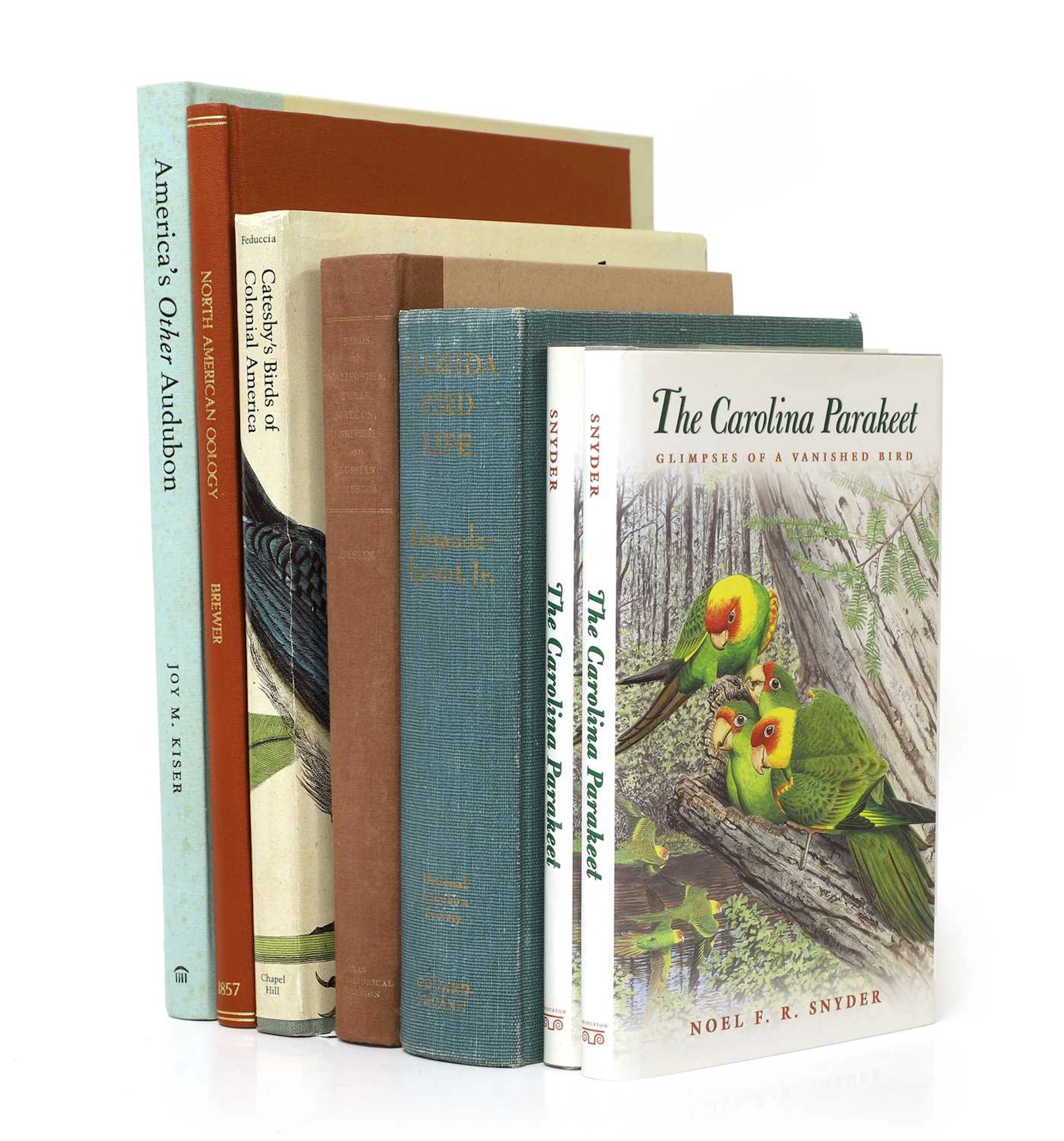 USA: Snyder, Noel F R: The Carolina Parakeet: Glimpses of a Vanished Bird.