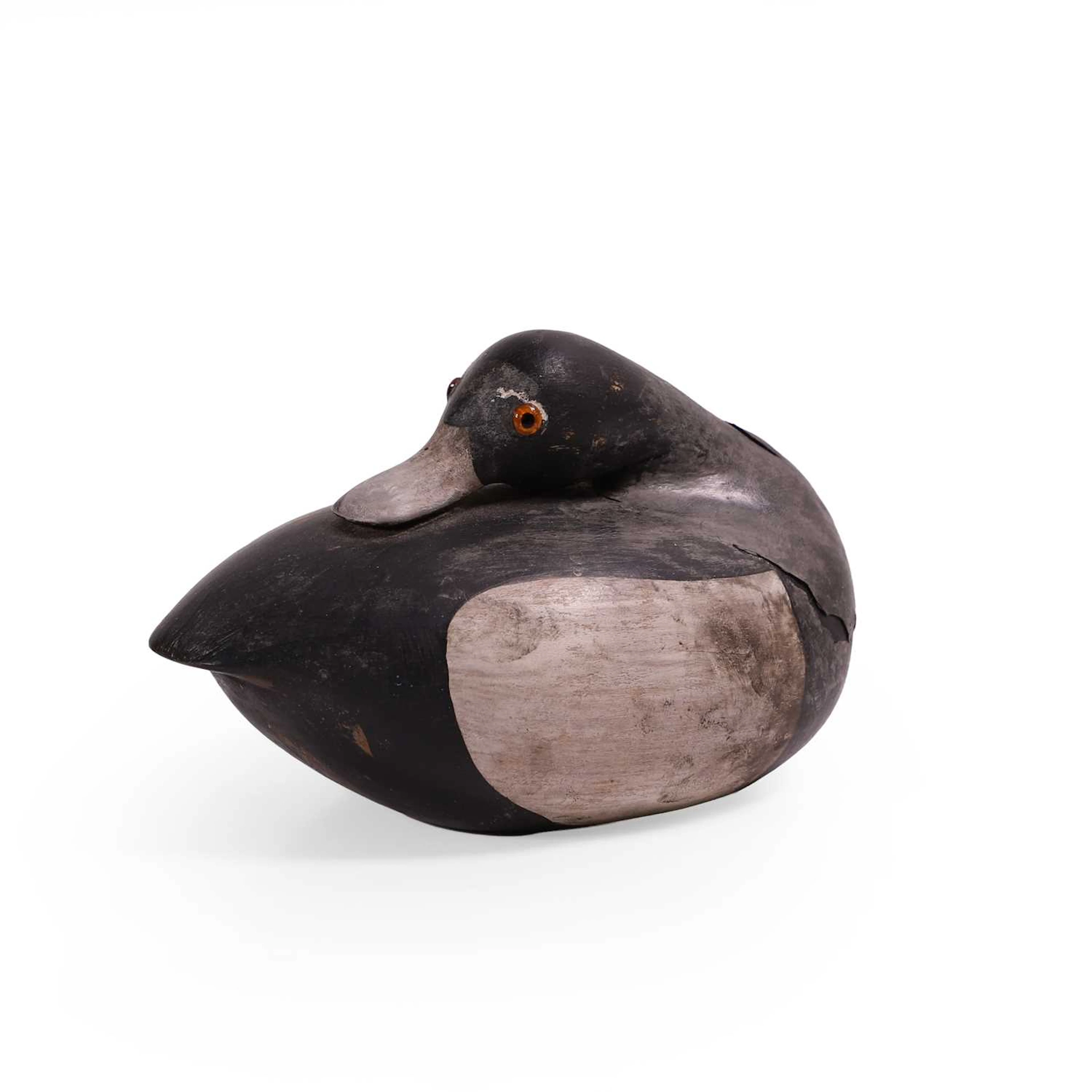 ▲ Guy Taplin (British, b.1939) Scaup