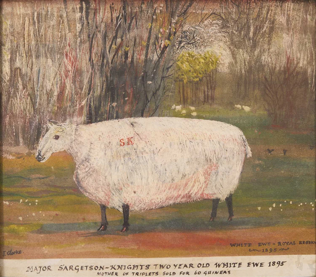 J... Clarke (19th century) 'White Ewe- Royal Reserve'