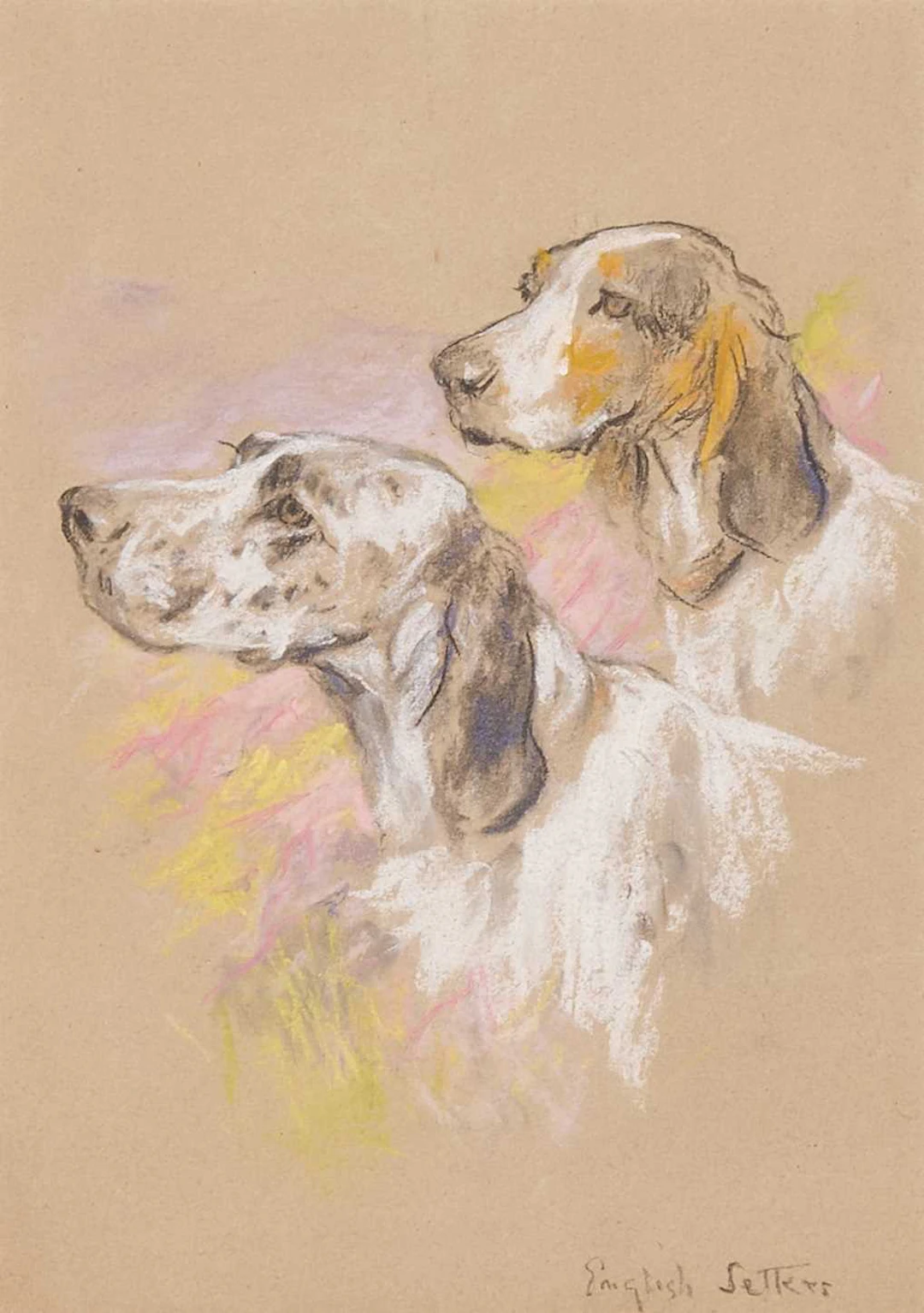 Arthur Wardle (British, 1864-1949) A study of two English Setters