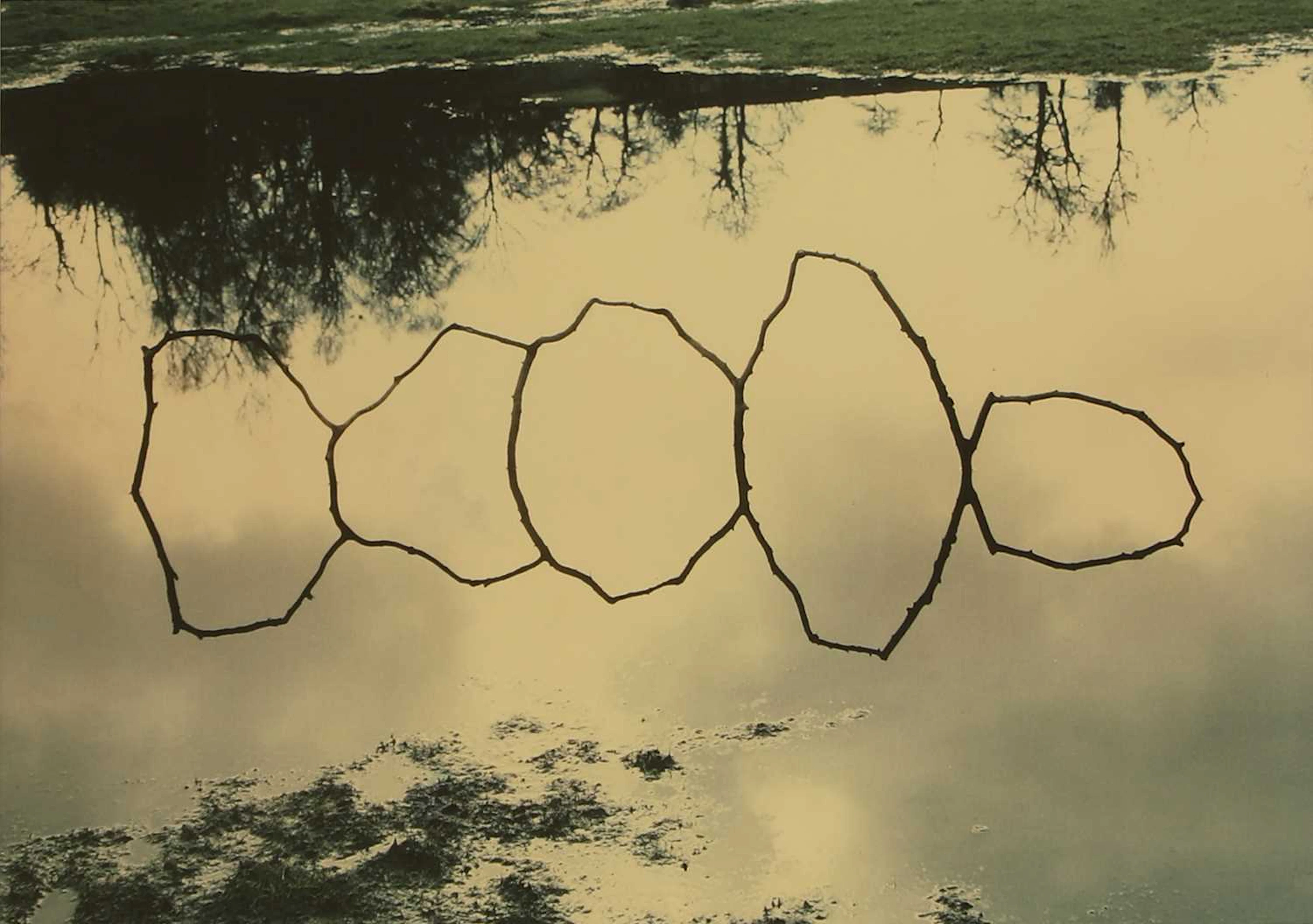 ▲ Andy Goldsworthy OBE (British, b.1956) Forked Sticks in Water, Bentham