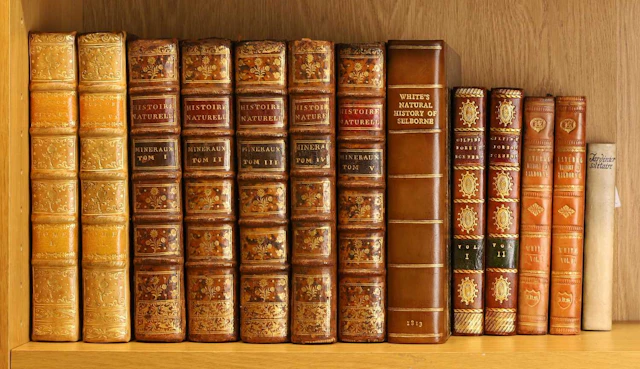Natural History- Gilpin, William: Remarks on Forest Scenery, and other
