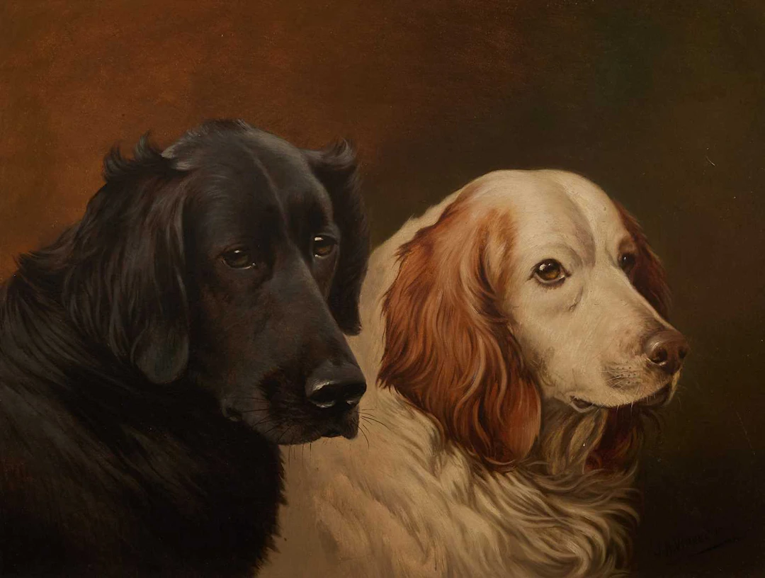 Alfred Wheeler (British, 1851-1932) Head studies of two retrievers