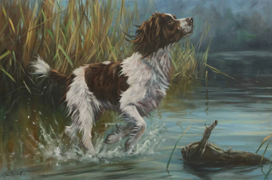 ▲ John Trickett (British, b.1952) A springer spaniel in water